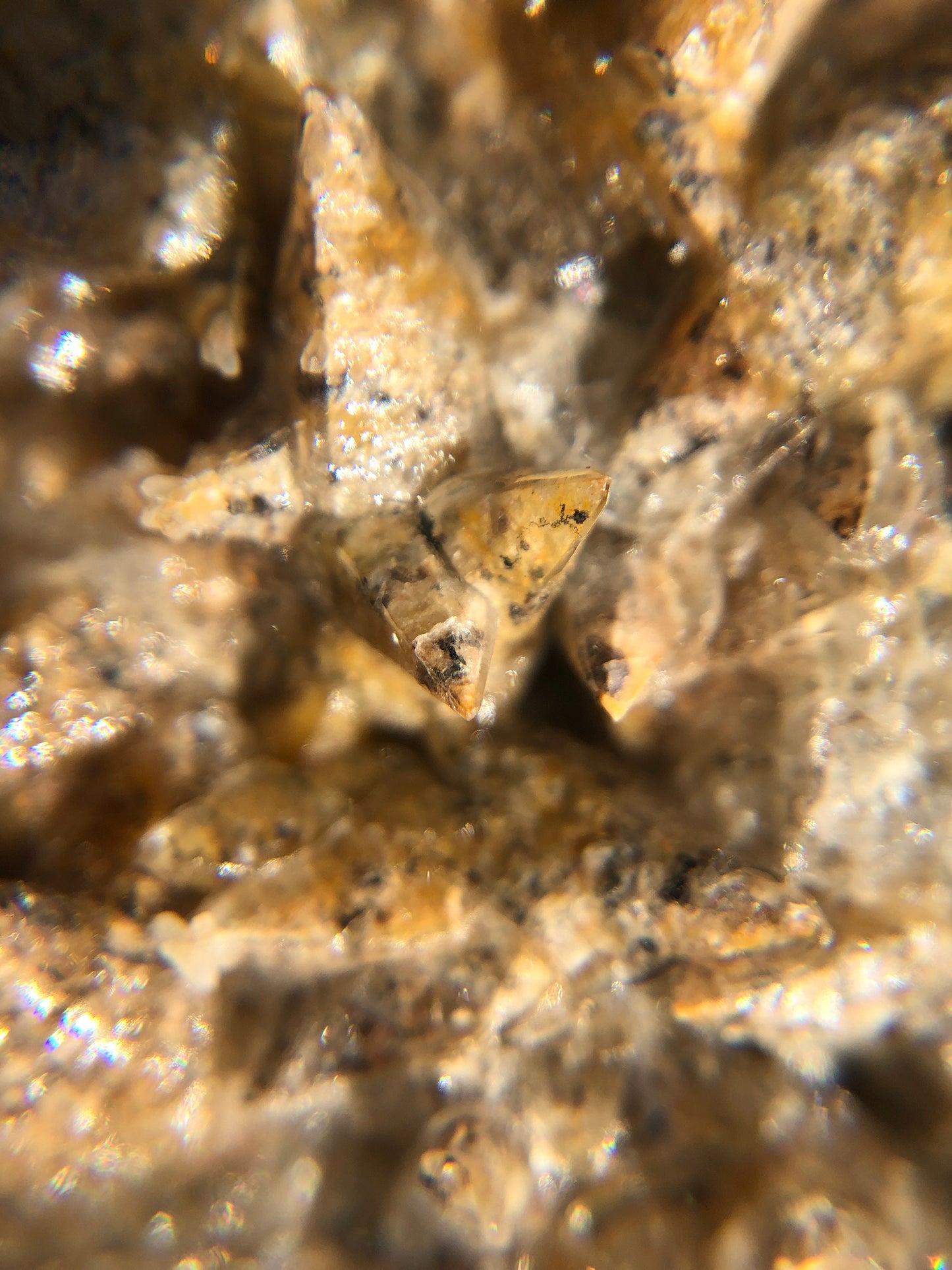 Dogtooth Calcite Cluster from Mexico