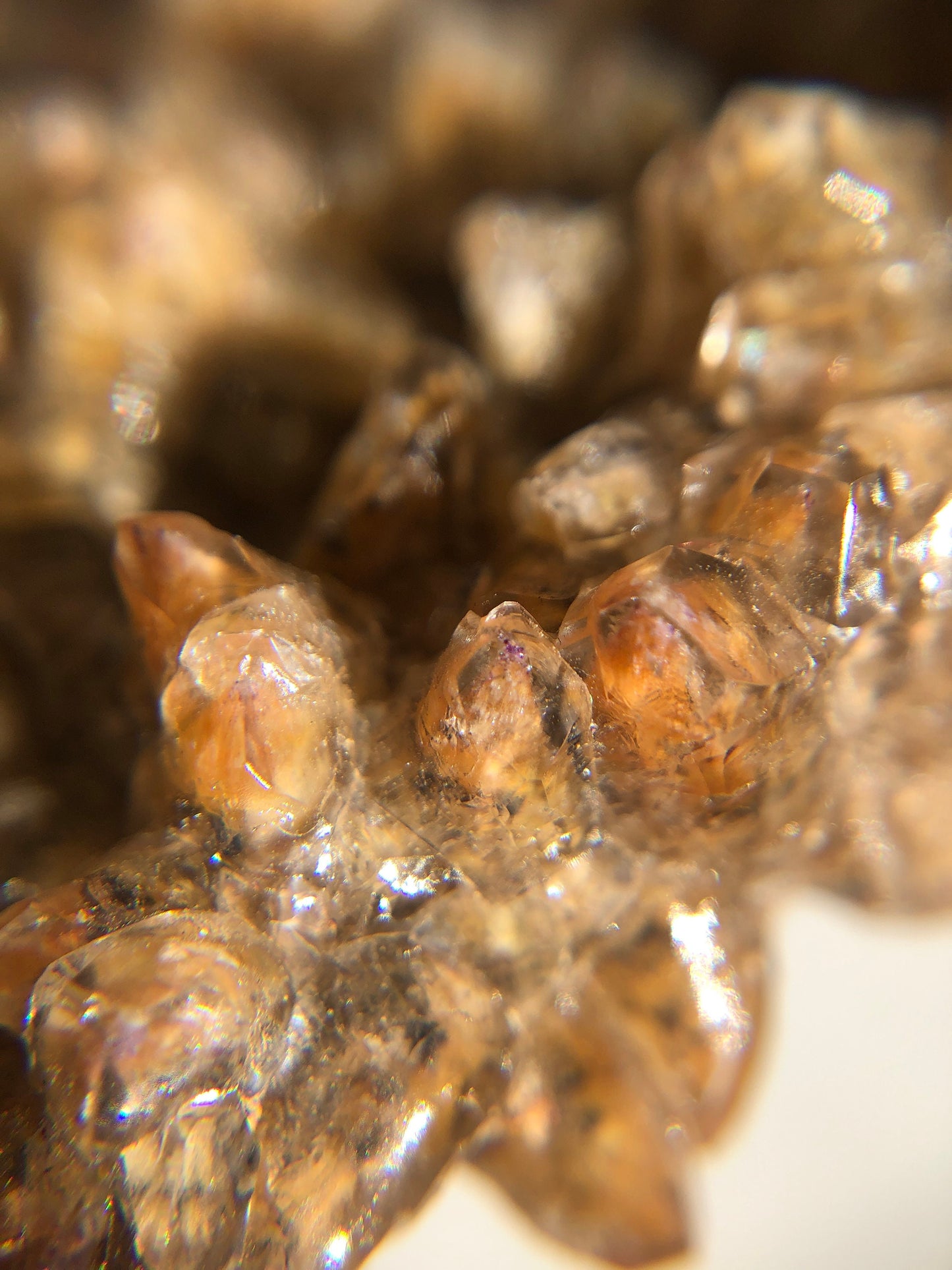 Dogtooth Calcite Cluster from Mexico