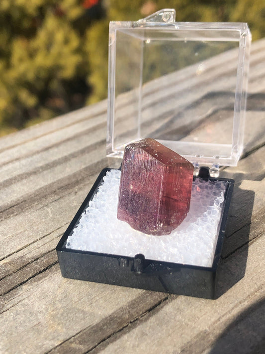 Rubellite Tourmaline Crystal from Brazil