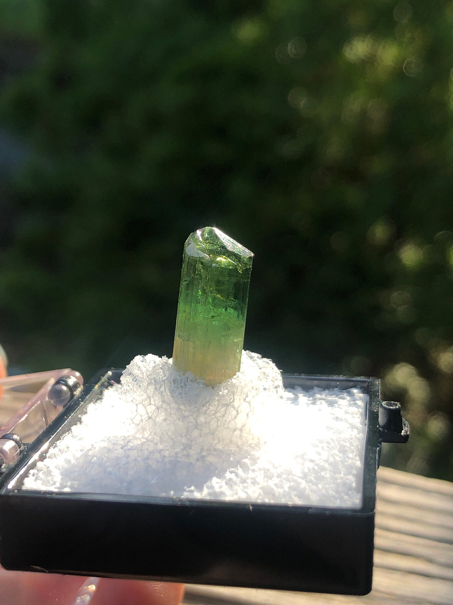 Elbaite Tourmaline Crystal from Barra Do Salinas Brazil
