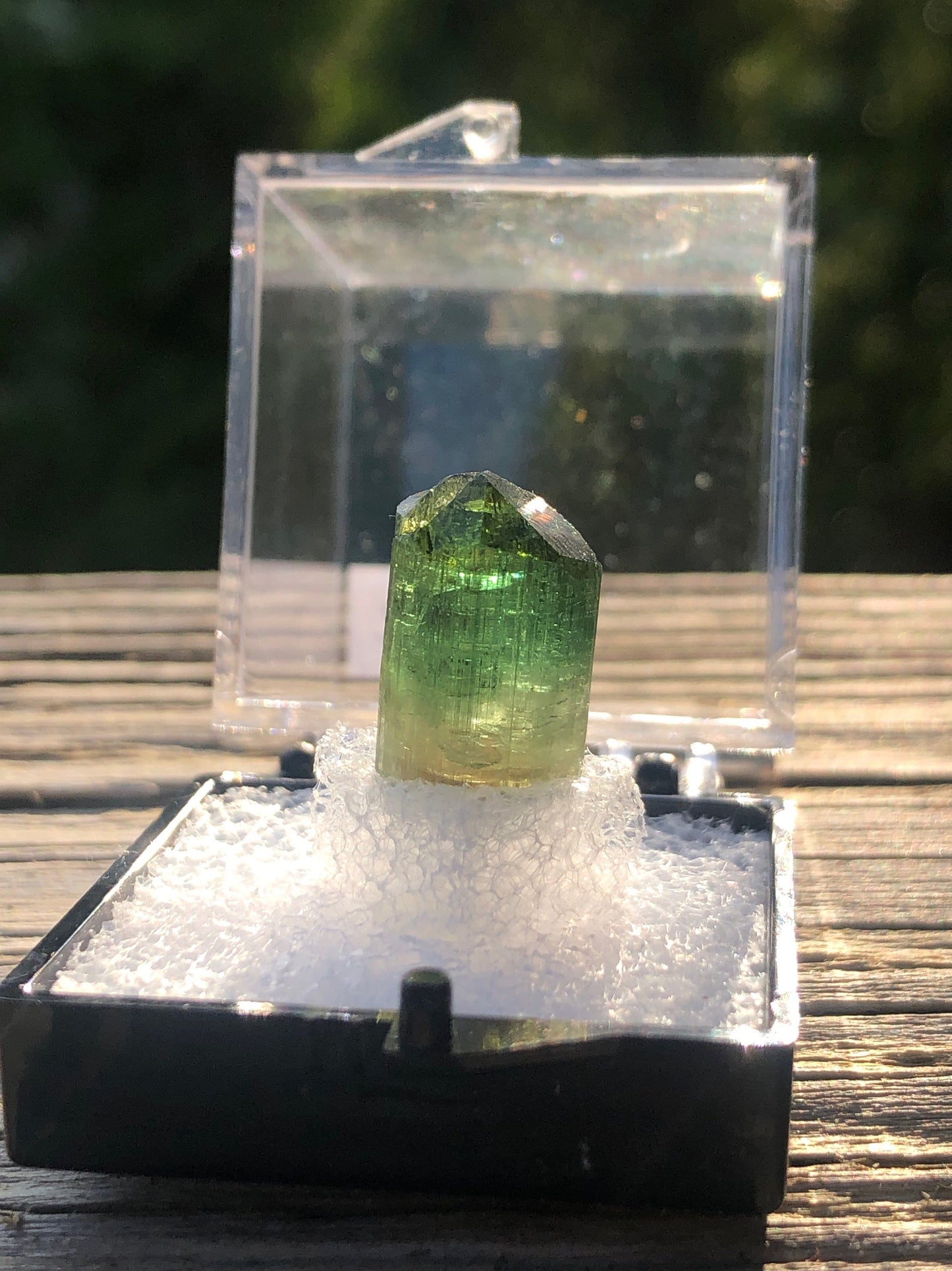 Elbaite Tourmaline Crystal from Barra Do Salinas Brazil