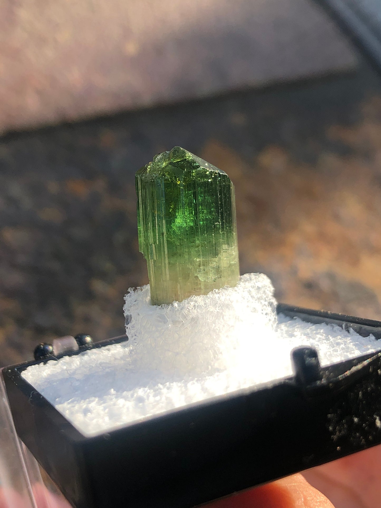 Elbaite Tourmaline Crystal from Barra Do Salinas Brazil