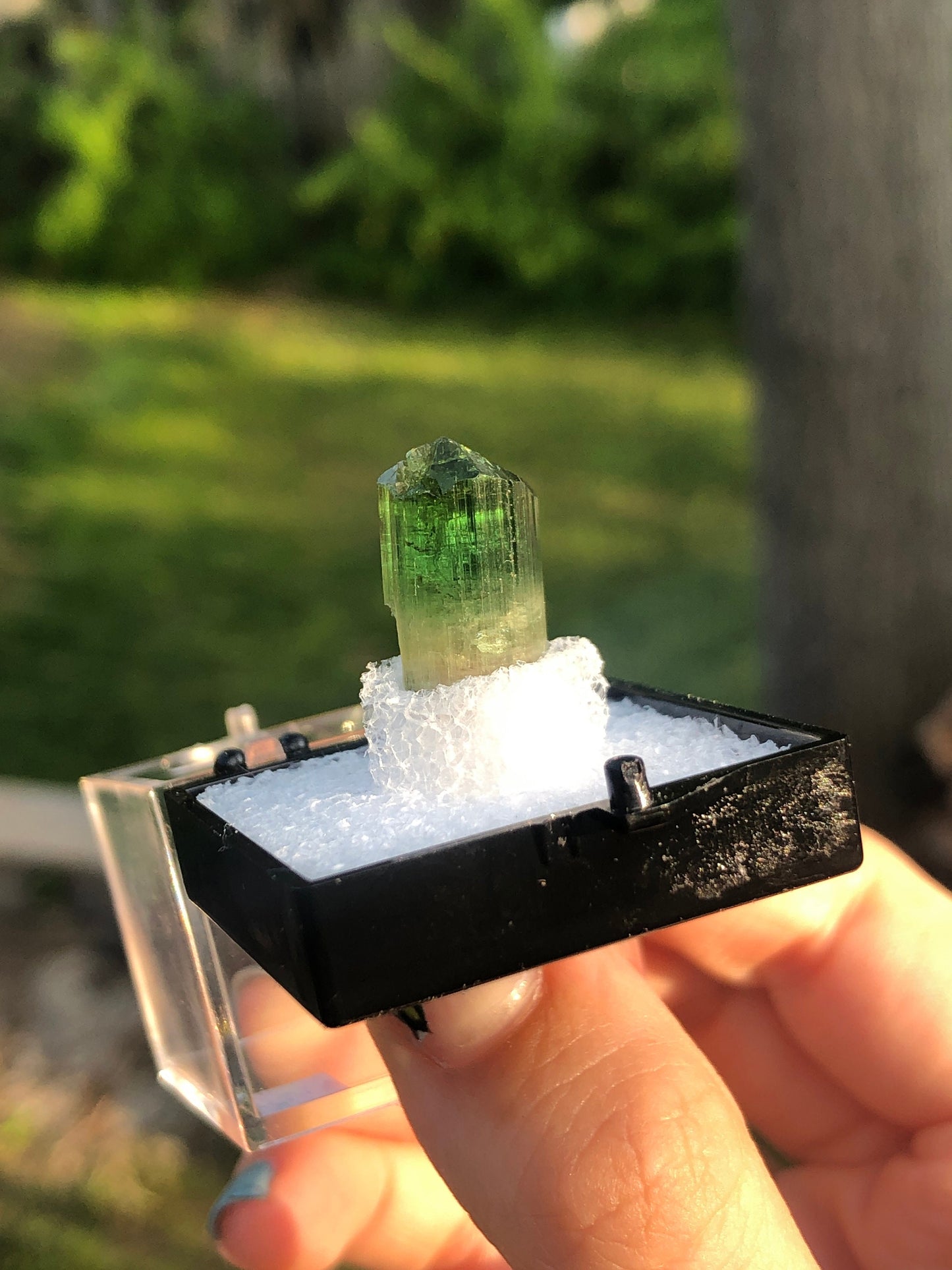 Elbaite Tourmaline Crystal from Barra Do Salinas Brazil
