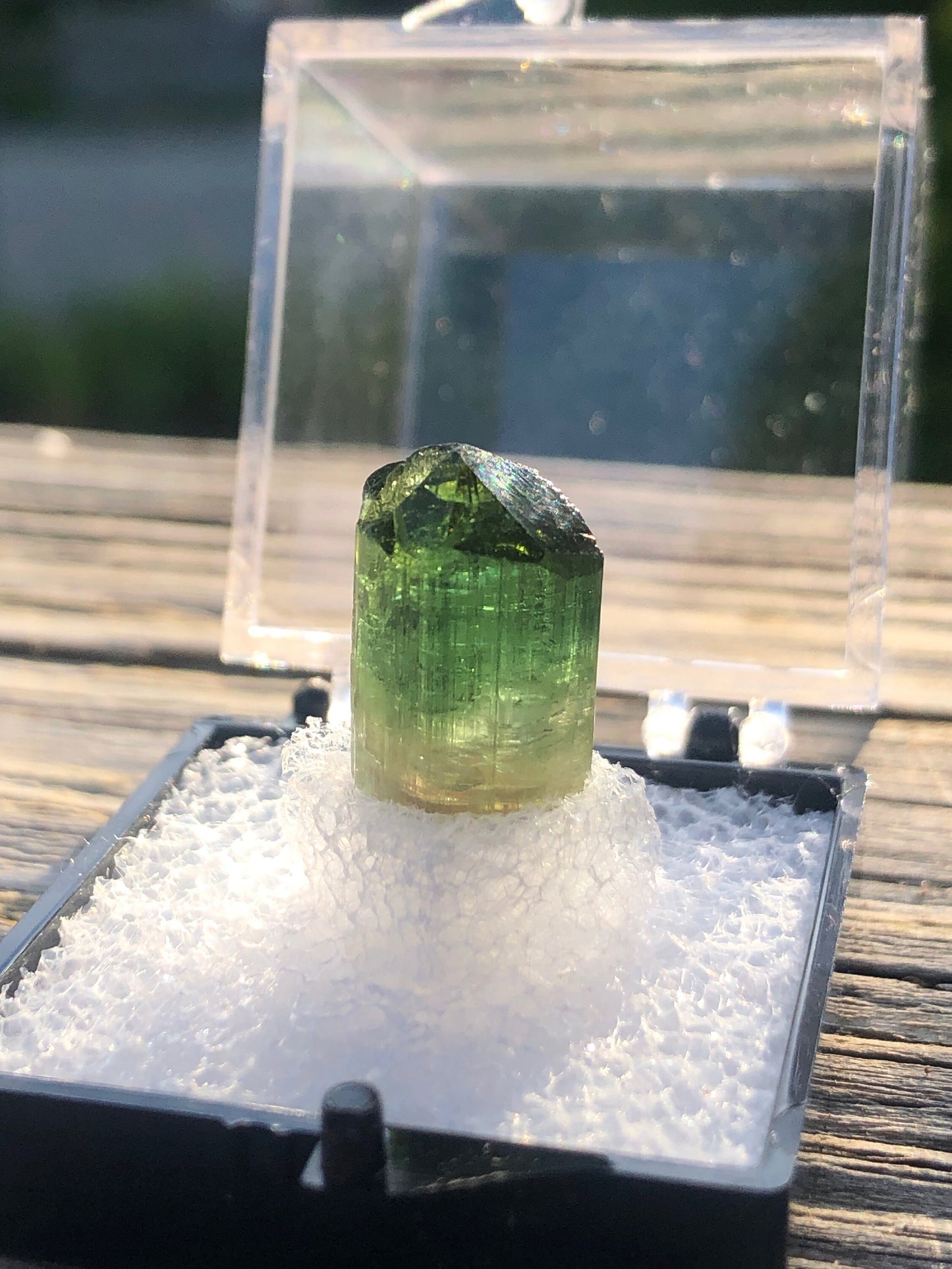 Elbaite Tourmaline Crystal from Barra Do Salinas Brazil