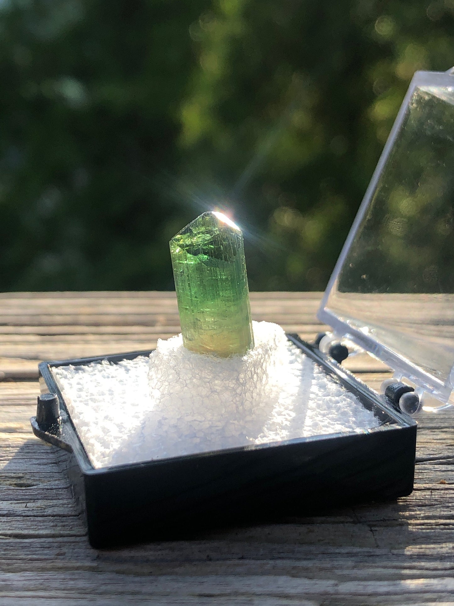 Elbaite Tourmaline Crystal from Barra Do Salinas Brazil