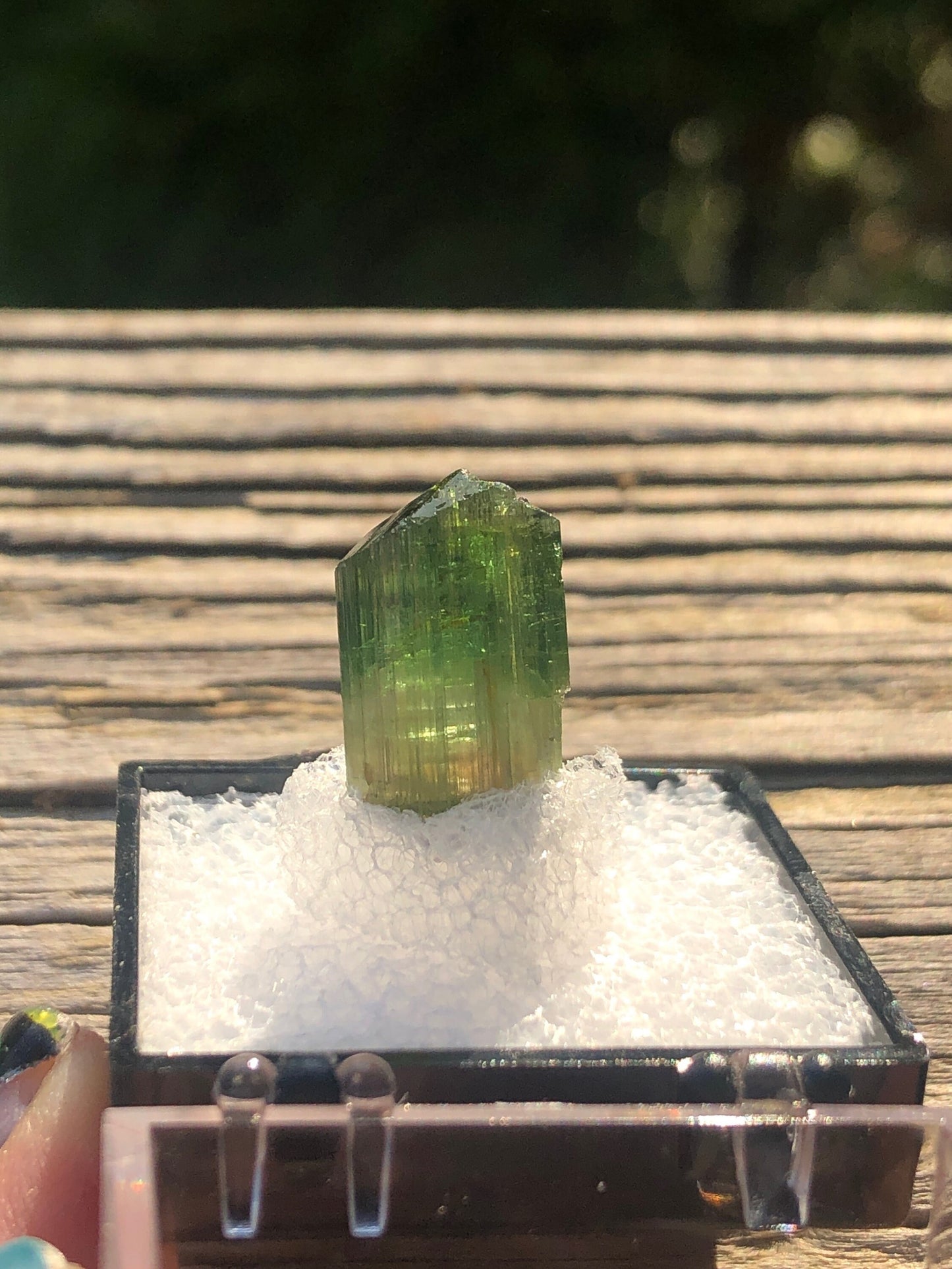 Elbaite Tourmaline Crystal from Barra Do Salinas Brazil