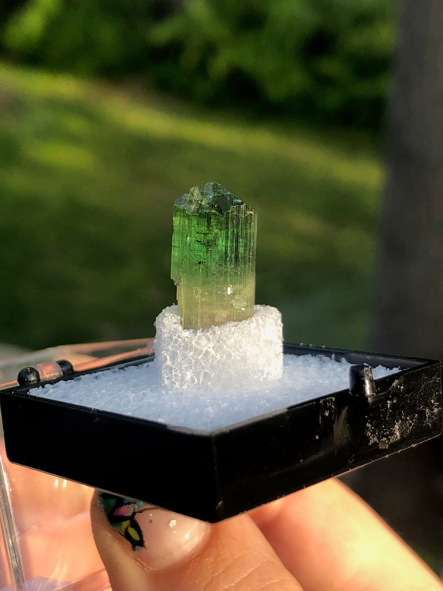 Elbaite Tourmaline Crystal from Barra Do Salinas Brazil