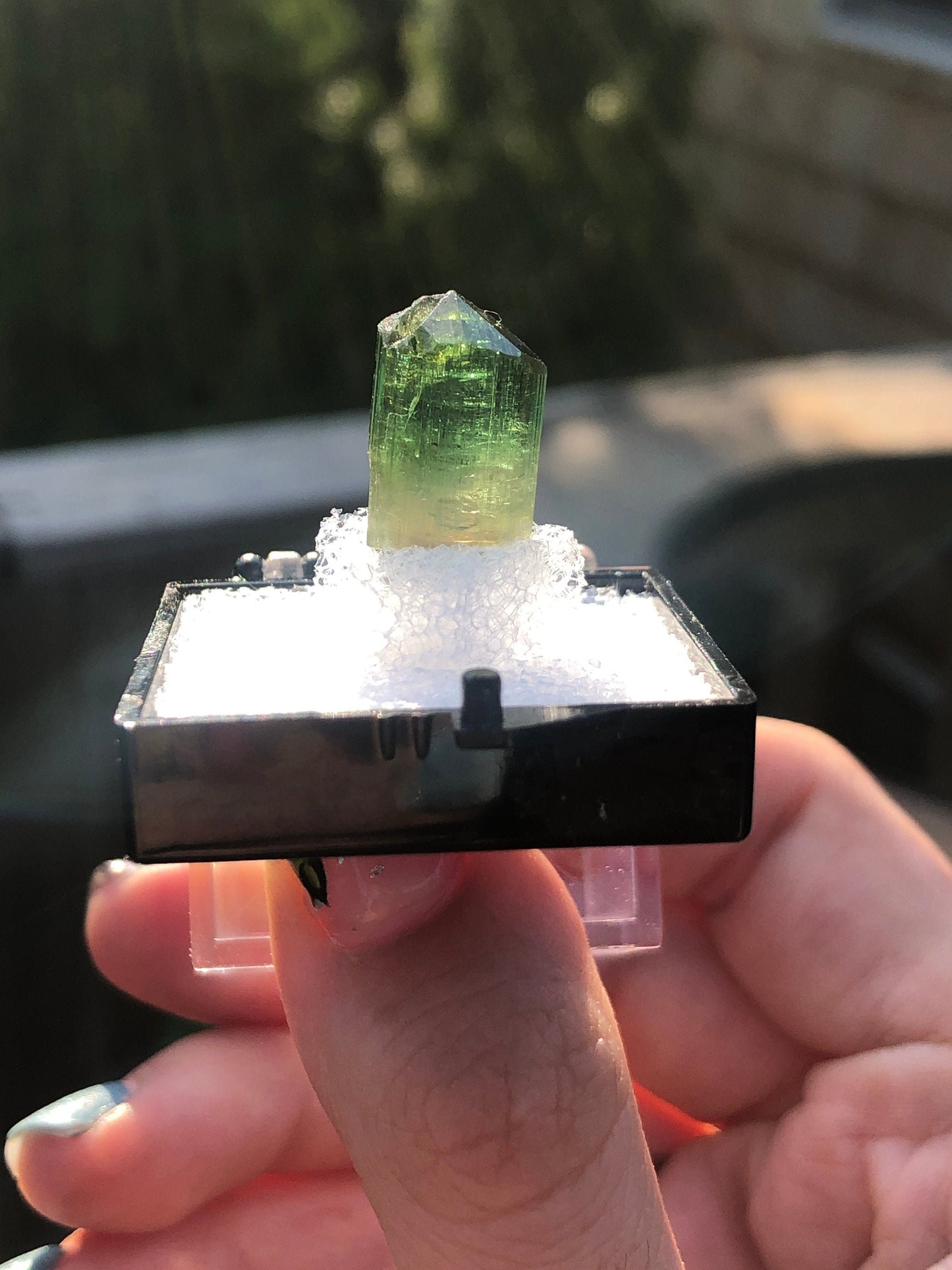 Elbaite Tourmaline Crystal from Barra Do Salinas Brazil