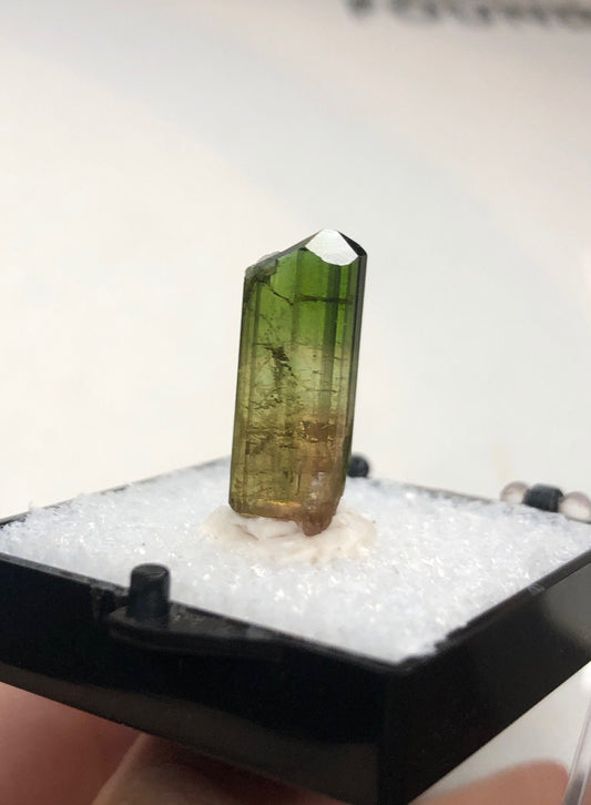 Elbaite Tourmaline Crystal from Barra De Salinas Brazil
