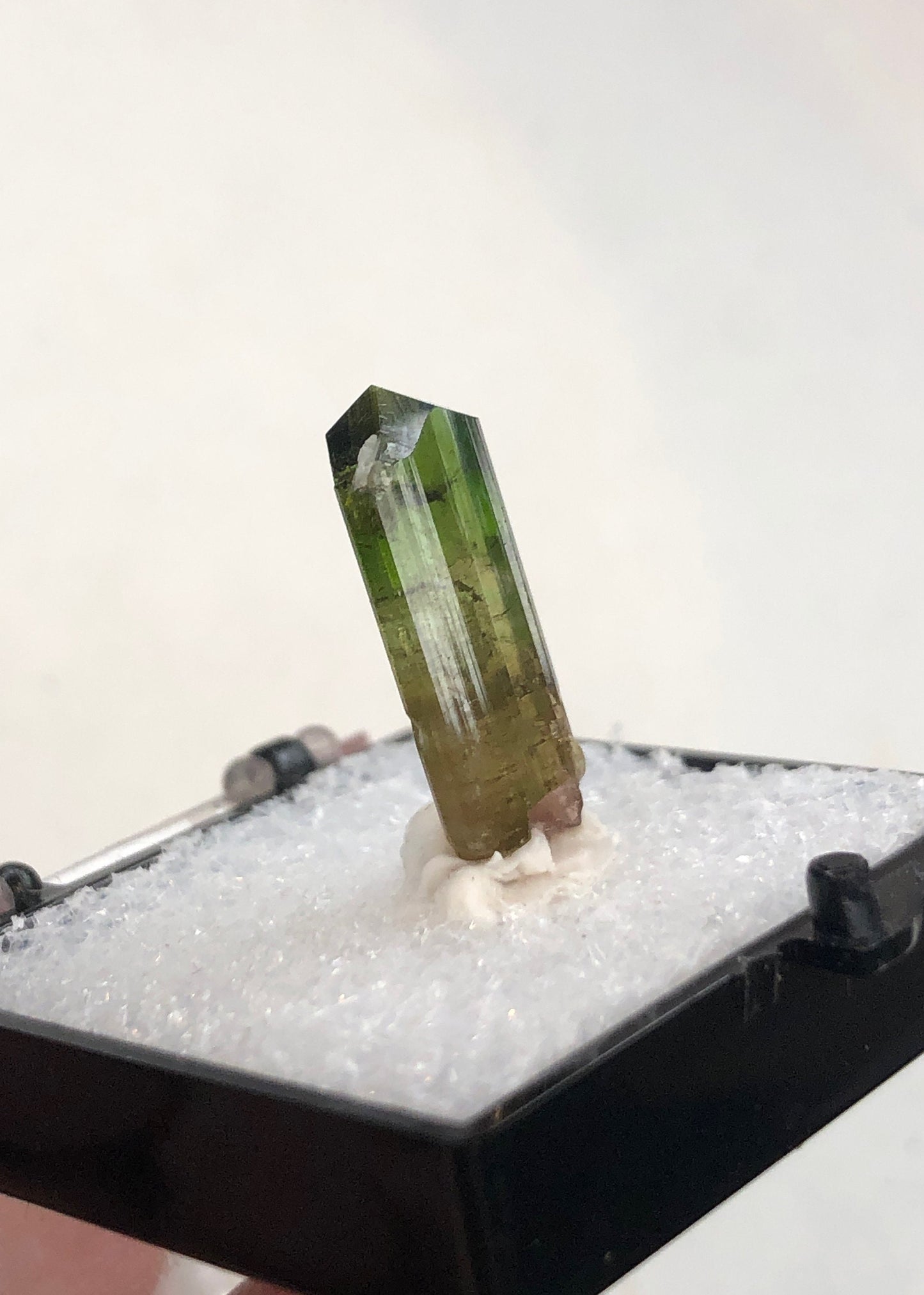 Elbaite Tourmaline Crystal from Barra De Salinas Brazil