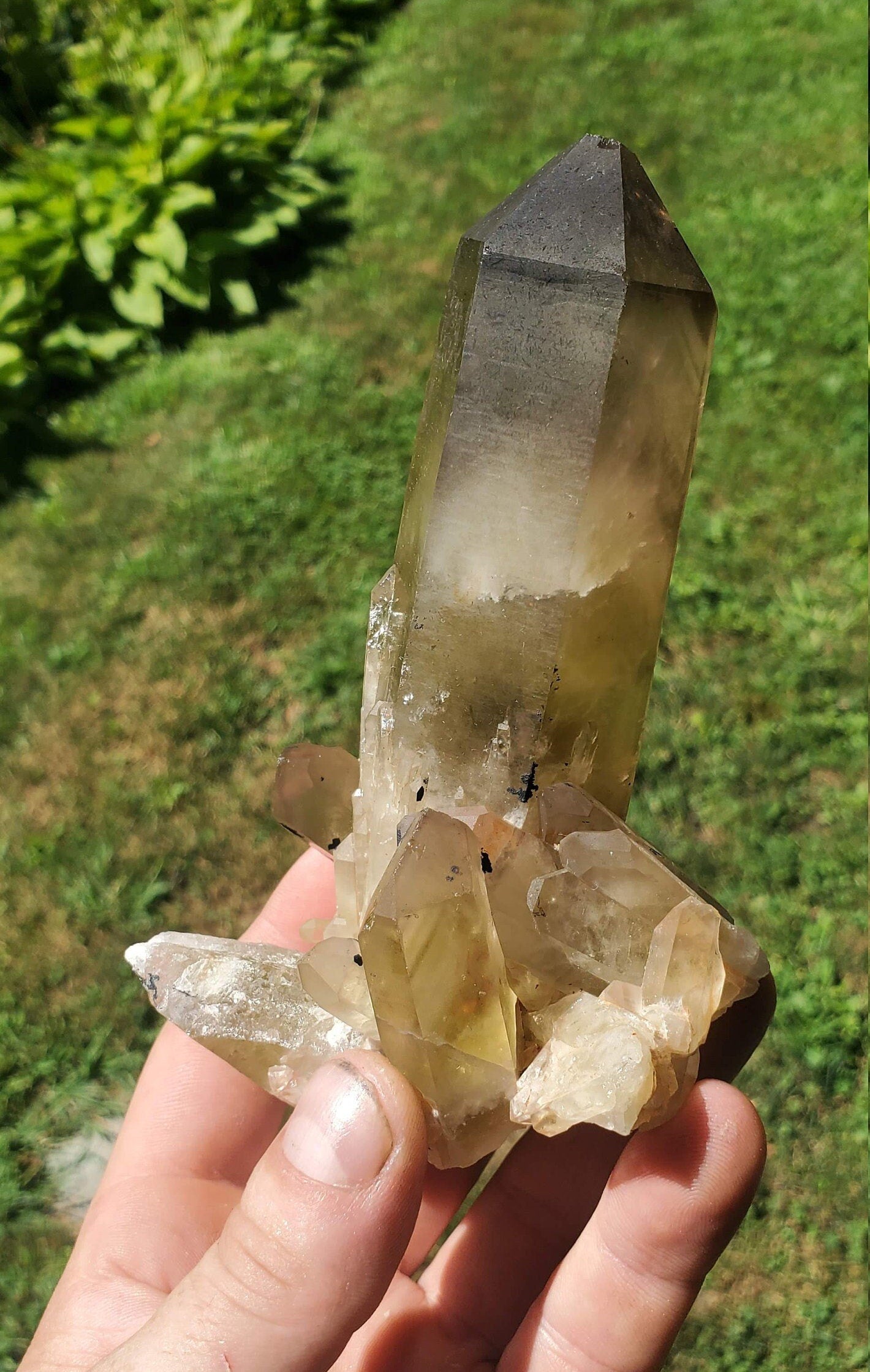 Unpolished Citrine Point from Madagascar