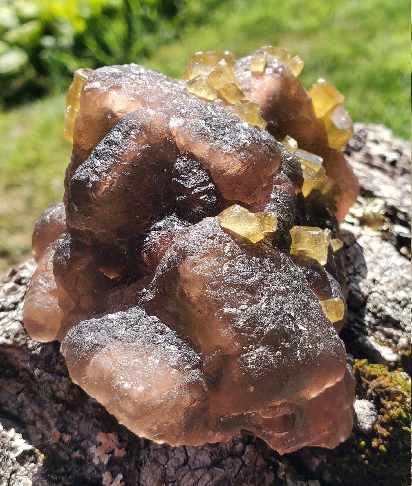 Golden Barite on Botryoidal Fluorite from Jiangxi Province, China