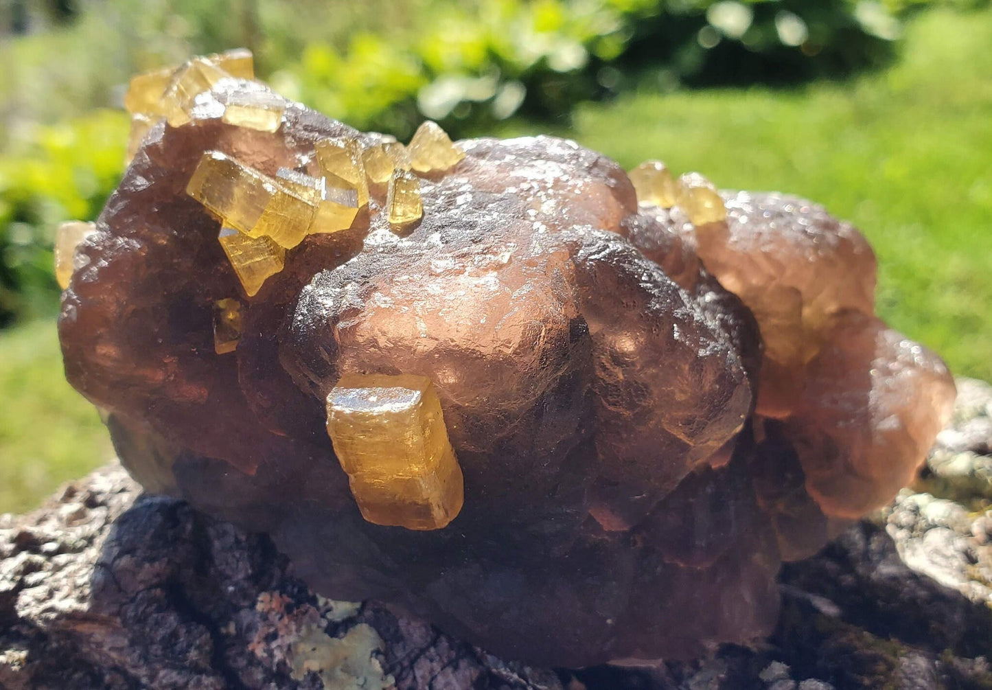 Golden Barite on Botryoidal Fluorite from Jiangxi Province, China