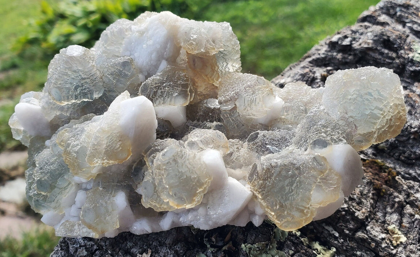 Fluorescent Etched Fluorite on Milky Quartz from Inner Mongolia China