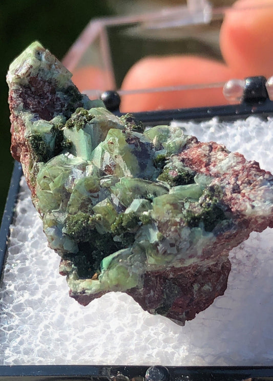Zincolivenite from Tsumeb Namibia