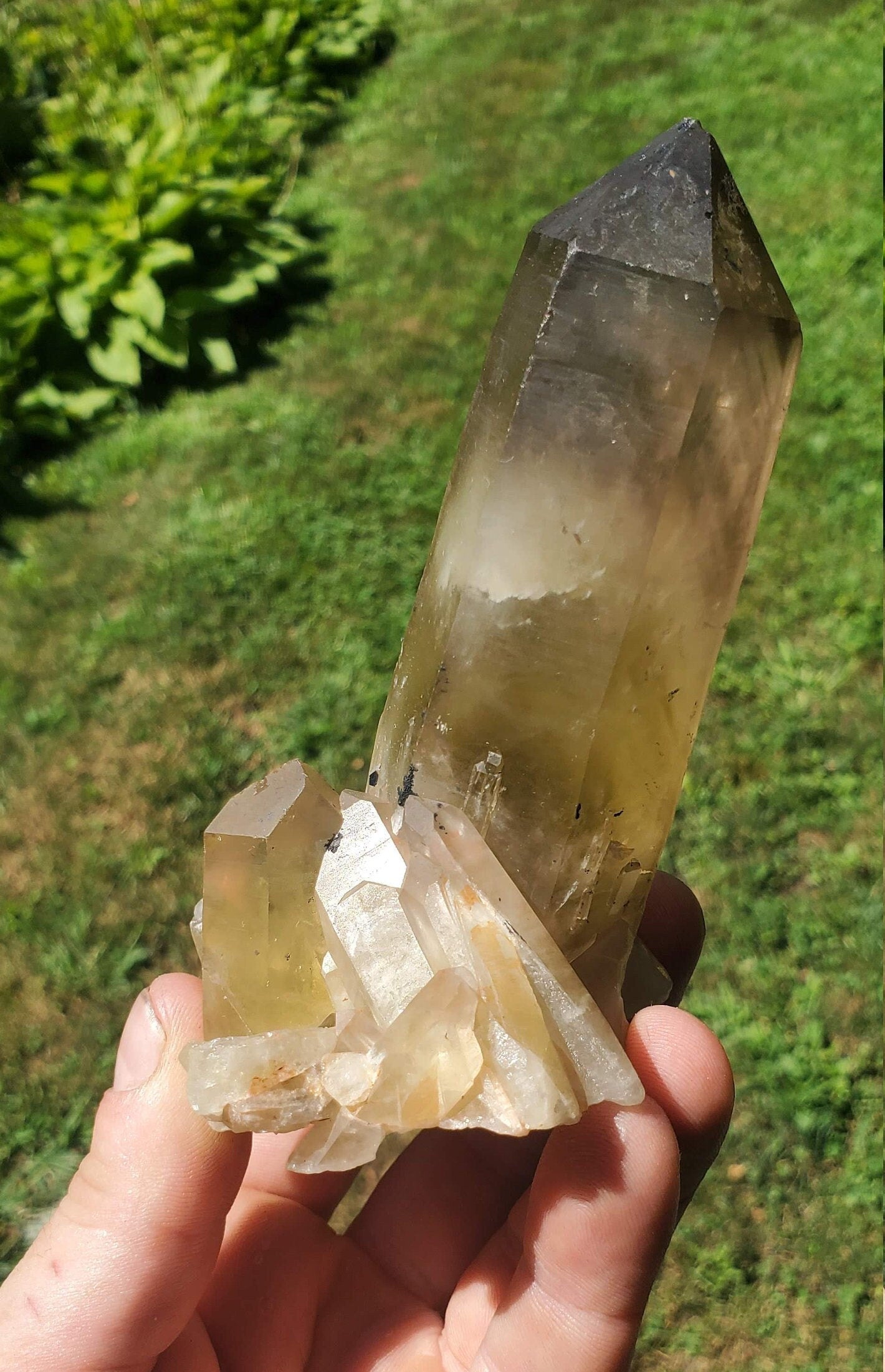 Unpolished Citrine Point from Madagascar