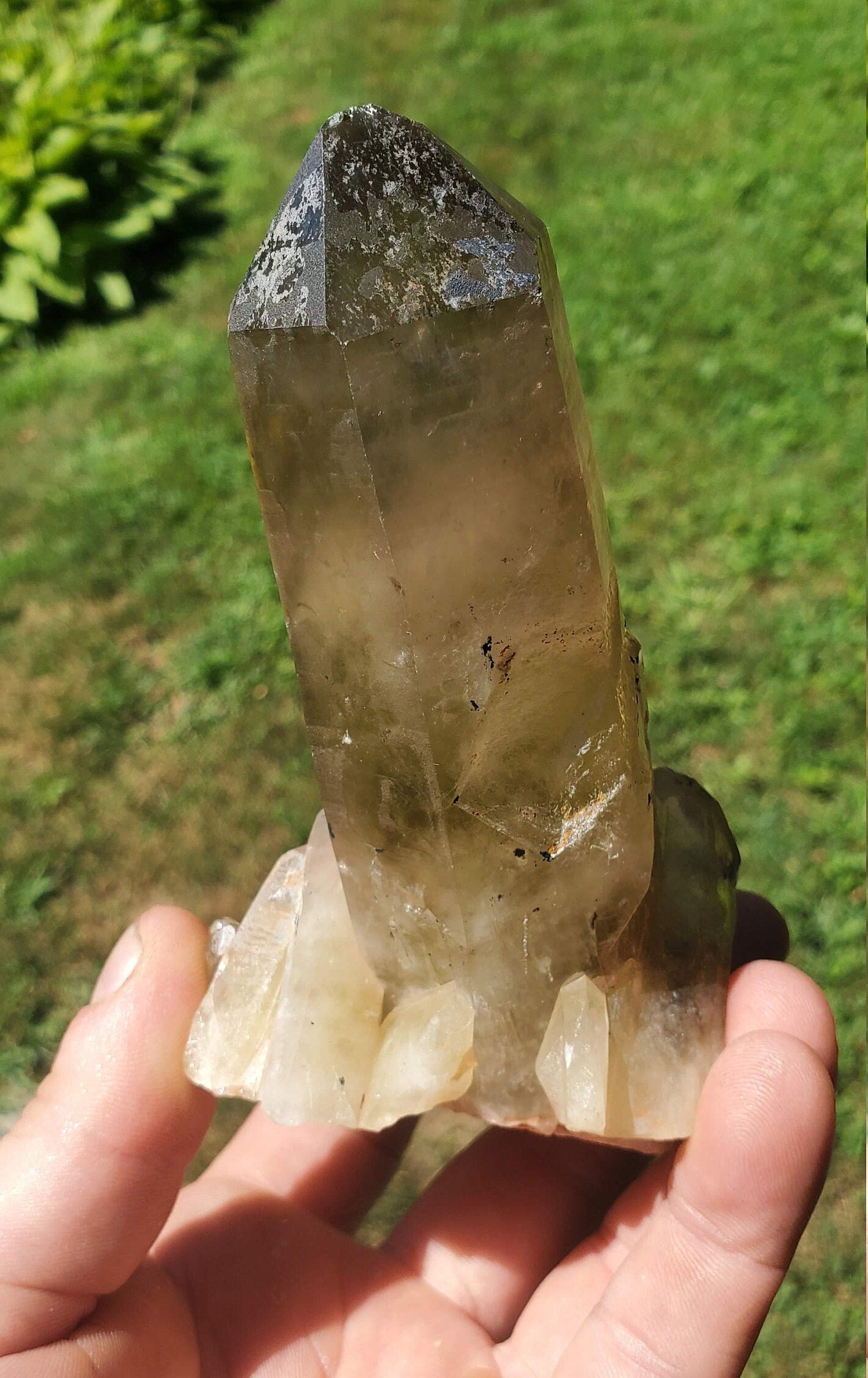 Unpolished Citrine Point from Madagascar