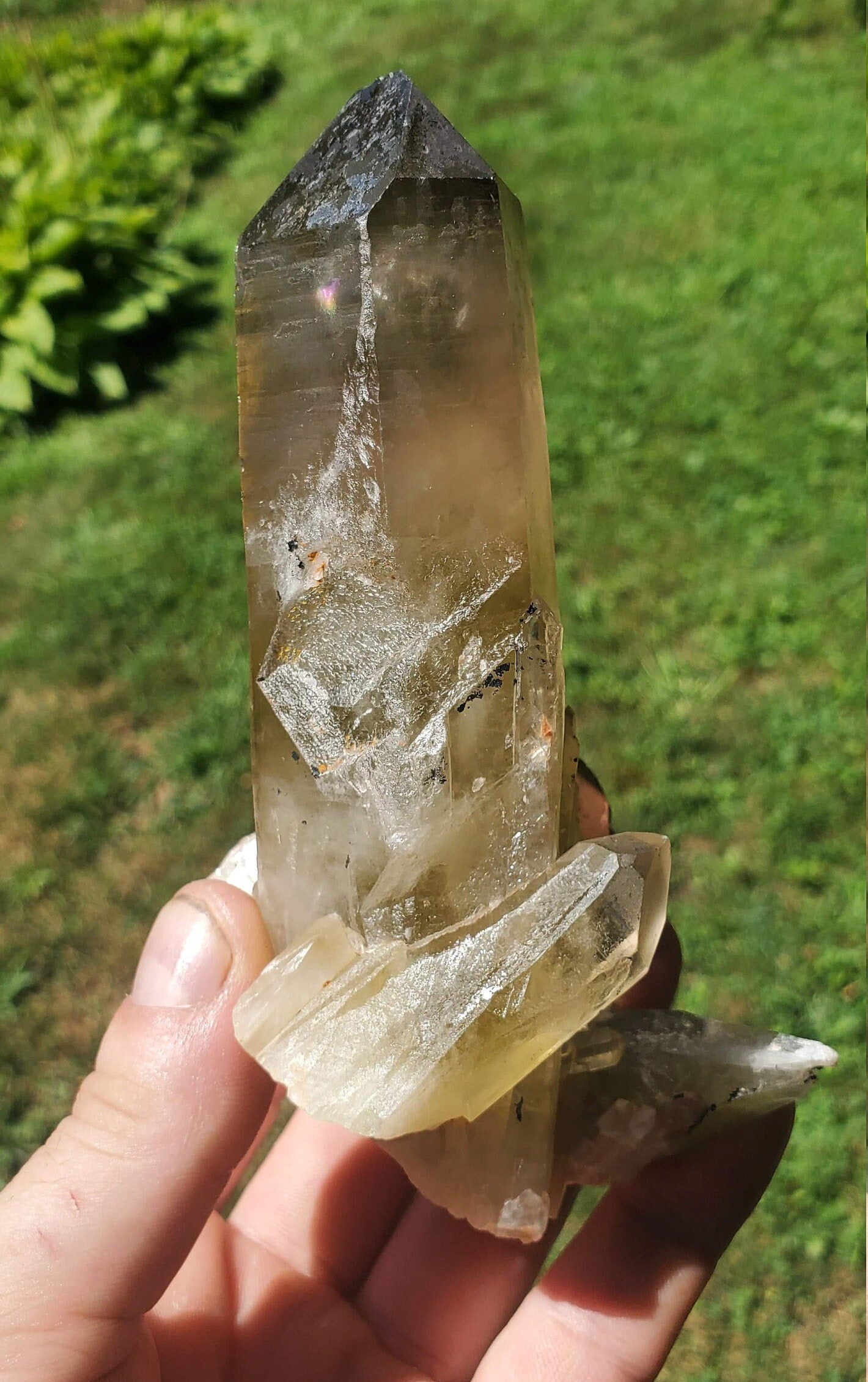 Unpolished Citrine Point from Madagascar