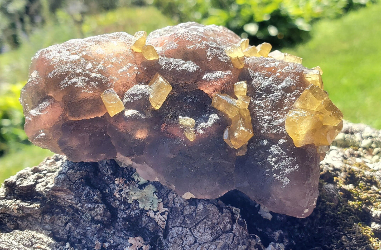Golden Barite on Botryoidal Fluorite from Jiangxi Province, China