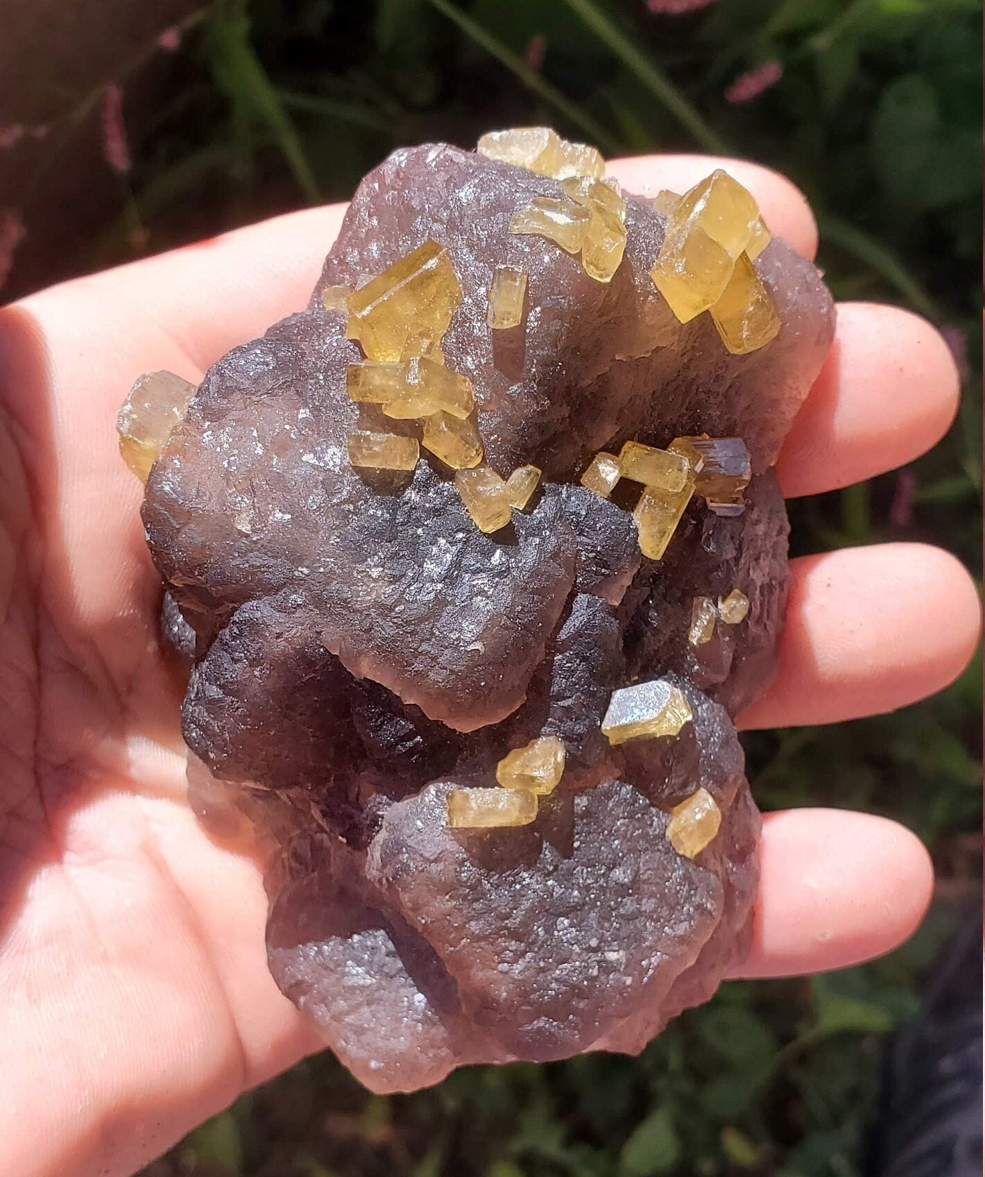Golden Barite on Botryoidal Fluorite from Jiangxi Province, China