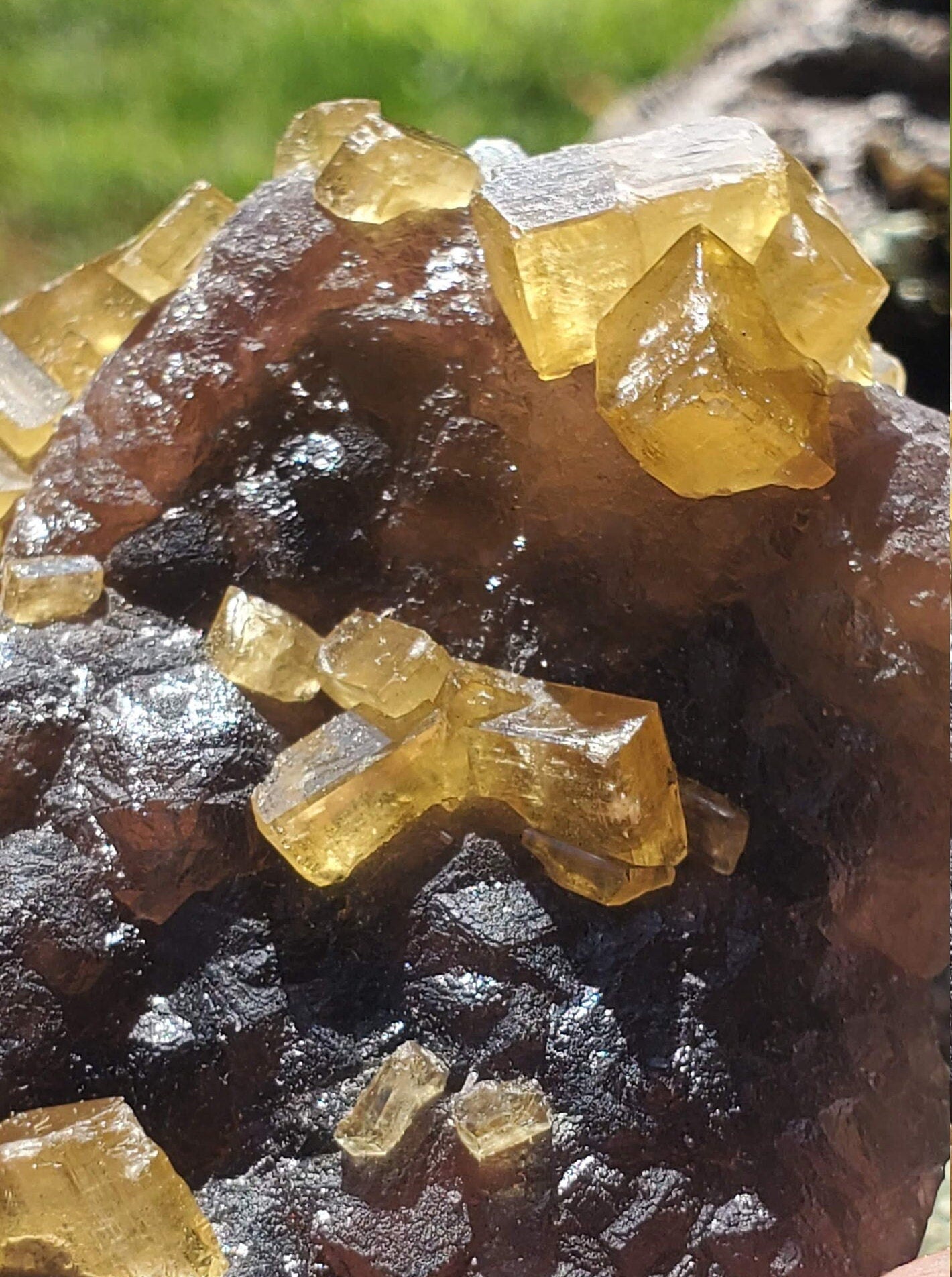 Golden Barite on Botryoidal Fluorite from Jiangxi Province, China