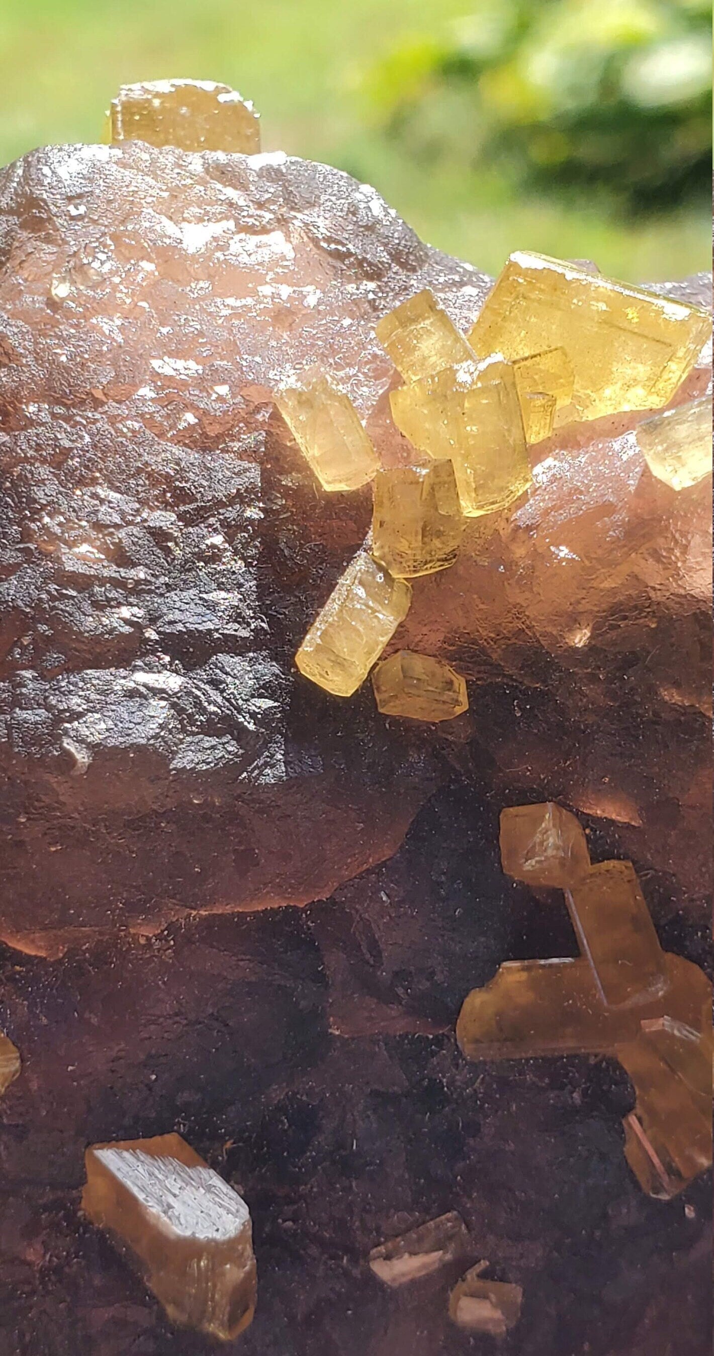 Golden Barite on Botryoidal Fluorite from Jiangxi Province, China