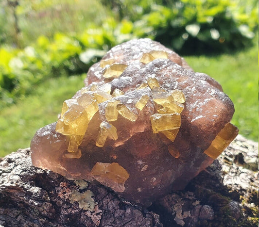 Golden Barite on Botryoidal Fluorite from Jiangxi Province, China