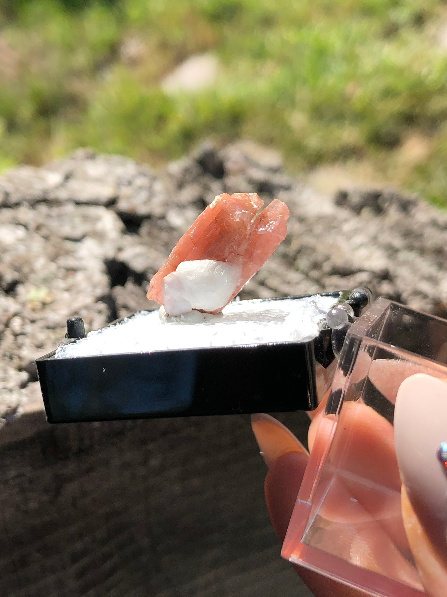 Serandite with Analcime from Canada