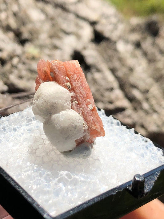 Serandite with Analcime from Canada