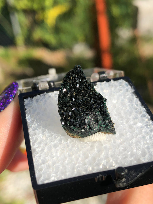 Olivenite Crystals from Tsumeb Mine Namibia