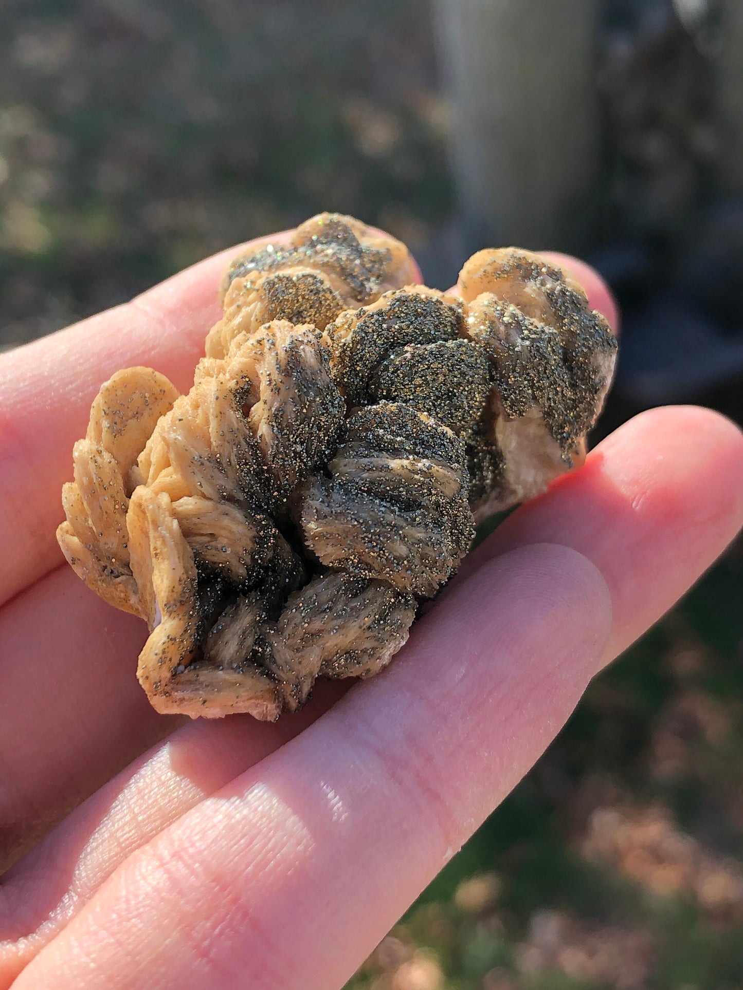 Pyrite on Barite from Rutyna's Pocket Poland