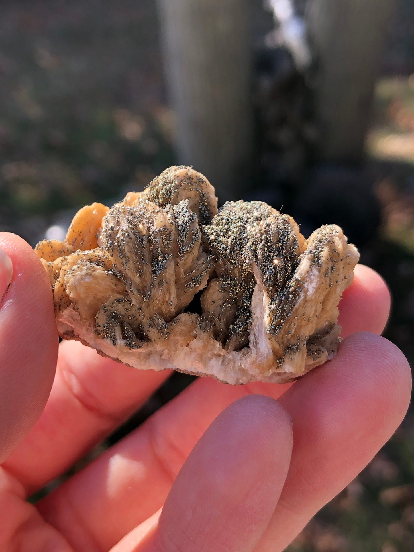 Pyrite on Barite from Rutyna's Pocket Poland