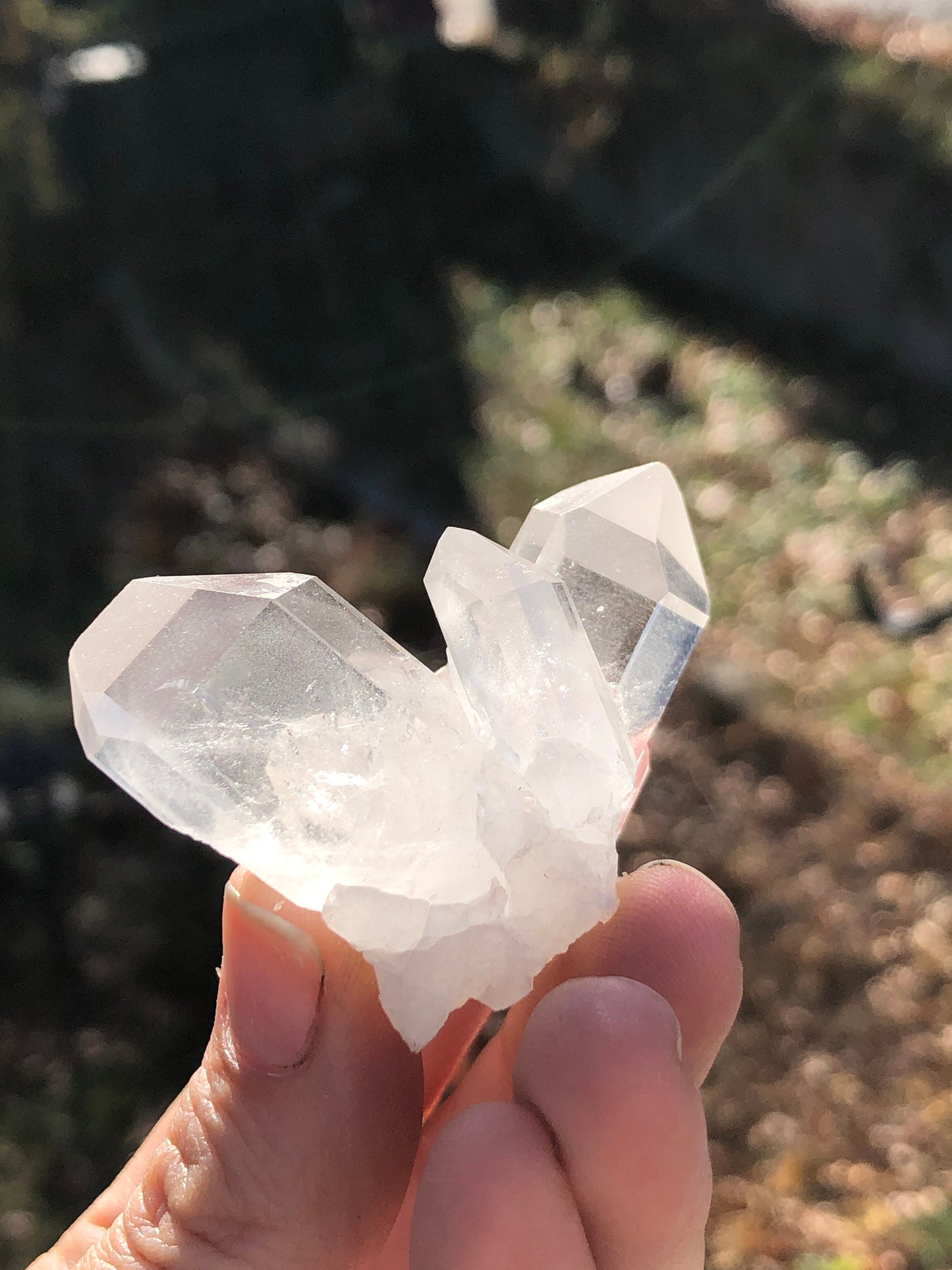 Cluster of terminated quartz crystals from France.