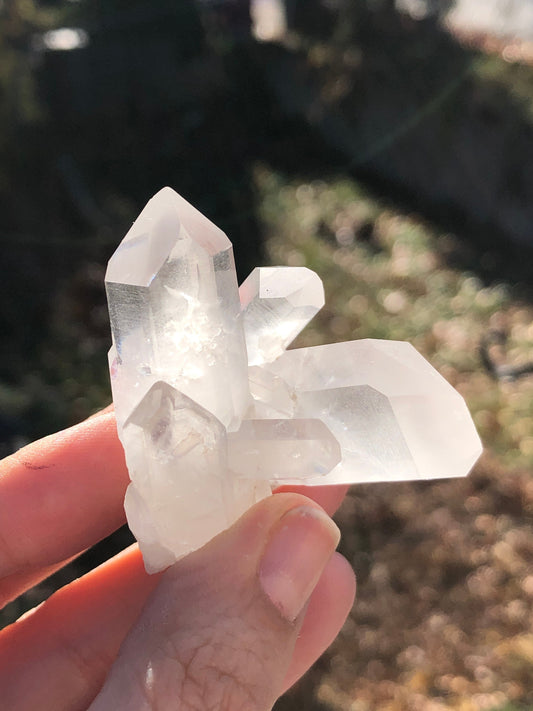 Cluster of terminated quartz crystals from France.