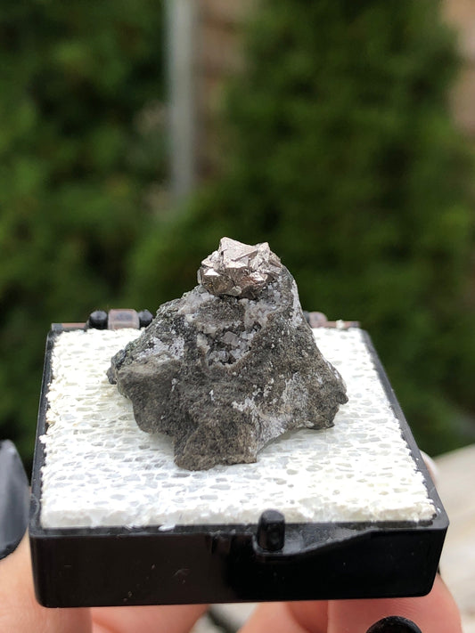 Old Collection Siegenite Cluster on Matrix from Buick Mine Missouri USA
