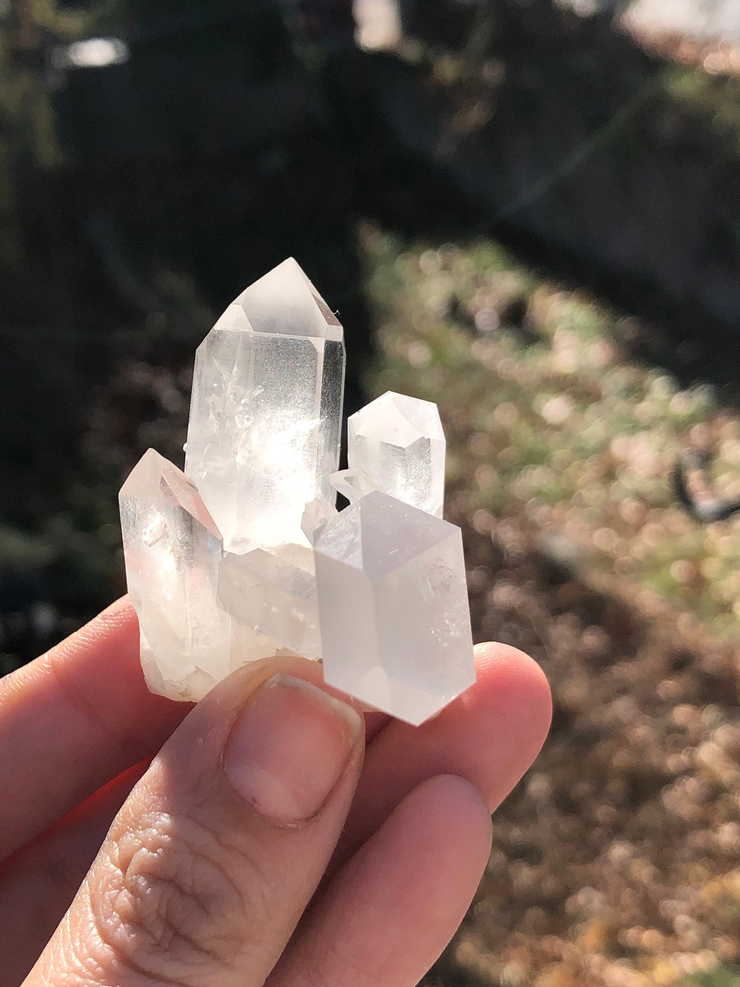 Cluster of terminated quartz crystals from France.
