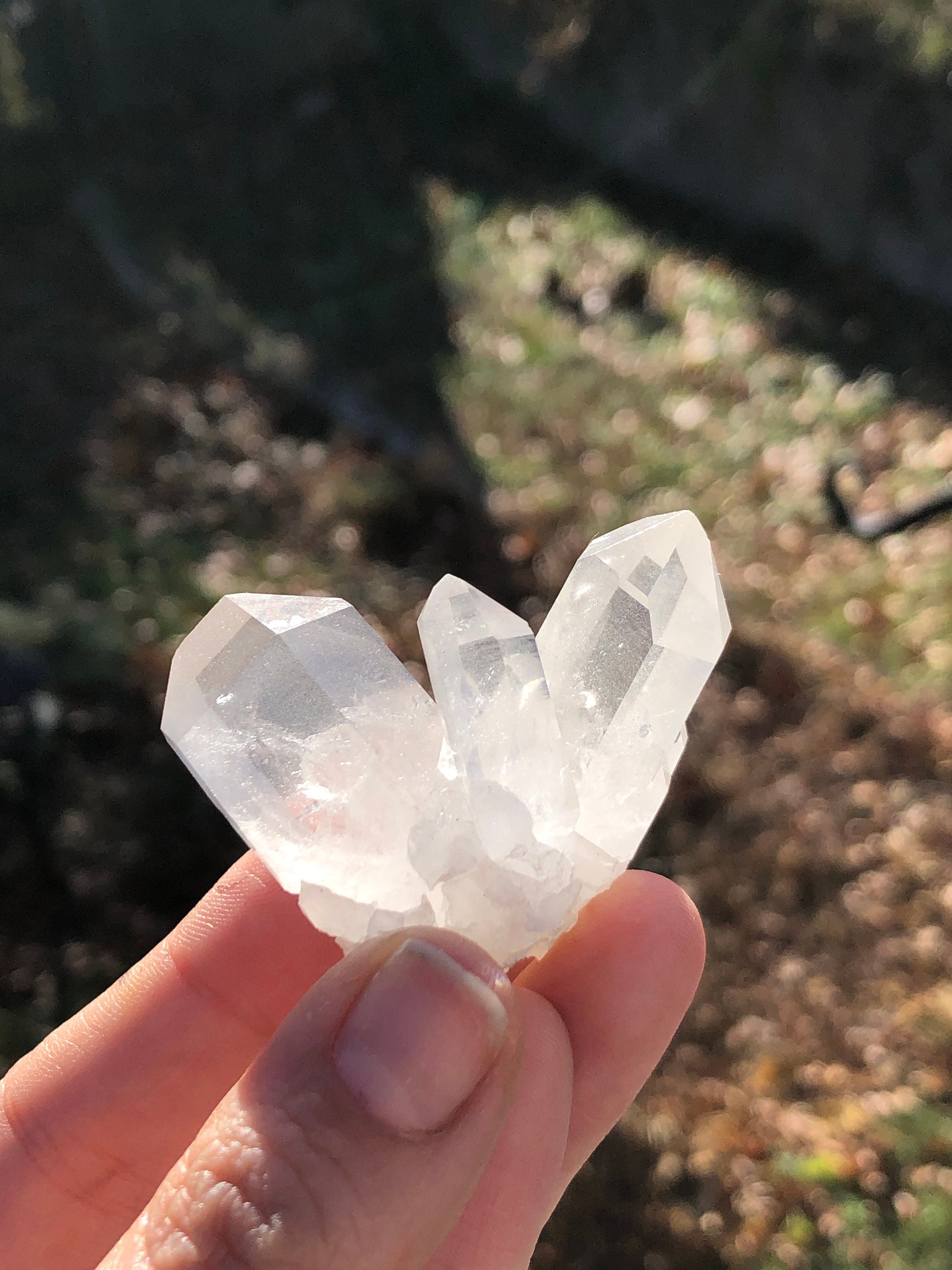 Cluster of terminated quartz crystals from France.