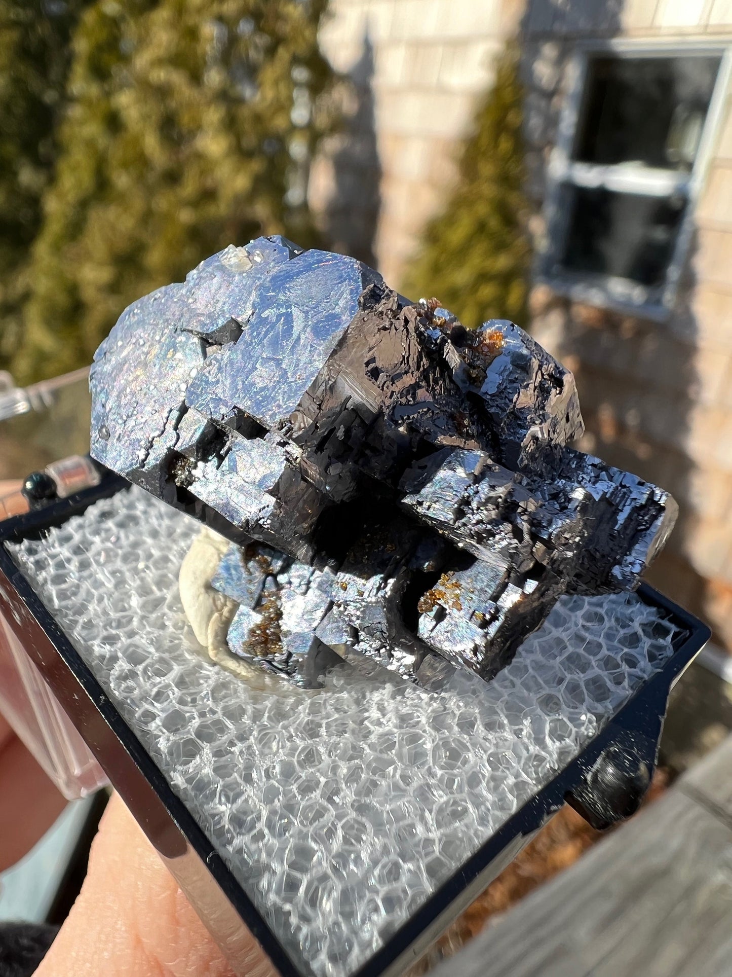 Sphalerite on Galena from Elmwood Mine Tennessee