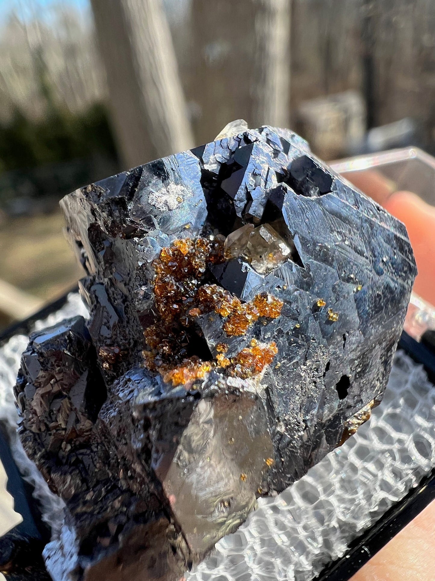Sphalerite on Galena from Elmwood Mine Tennessee