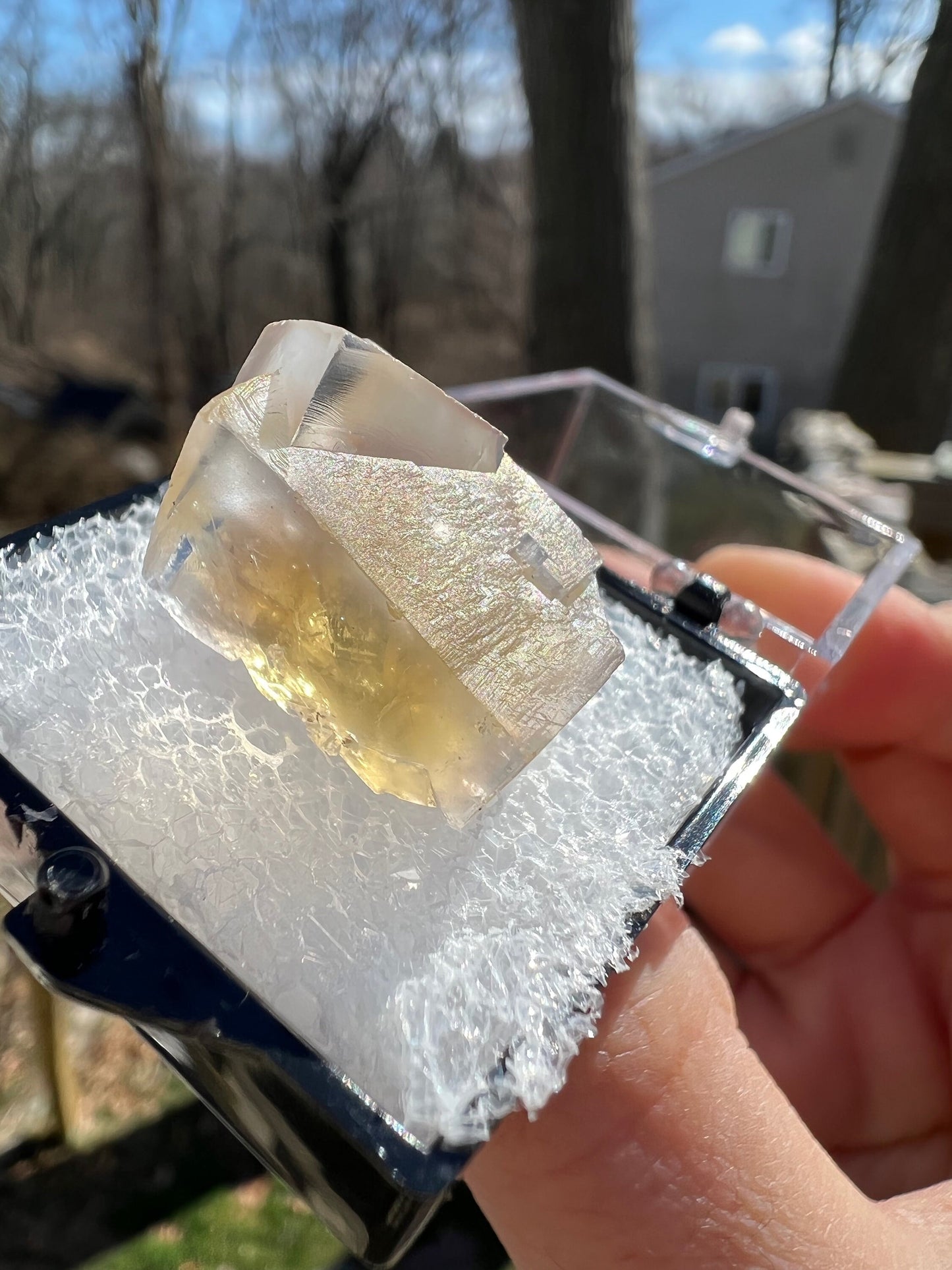 Yellow Fluorite from Bull Vein Pocket at Lady Annabella Mine UK