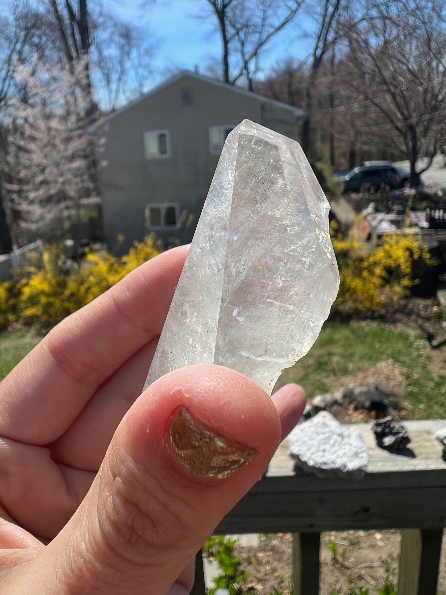 Dogtooth Calcite Crystal with Marcasite from Linwood Mine Iowa USA