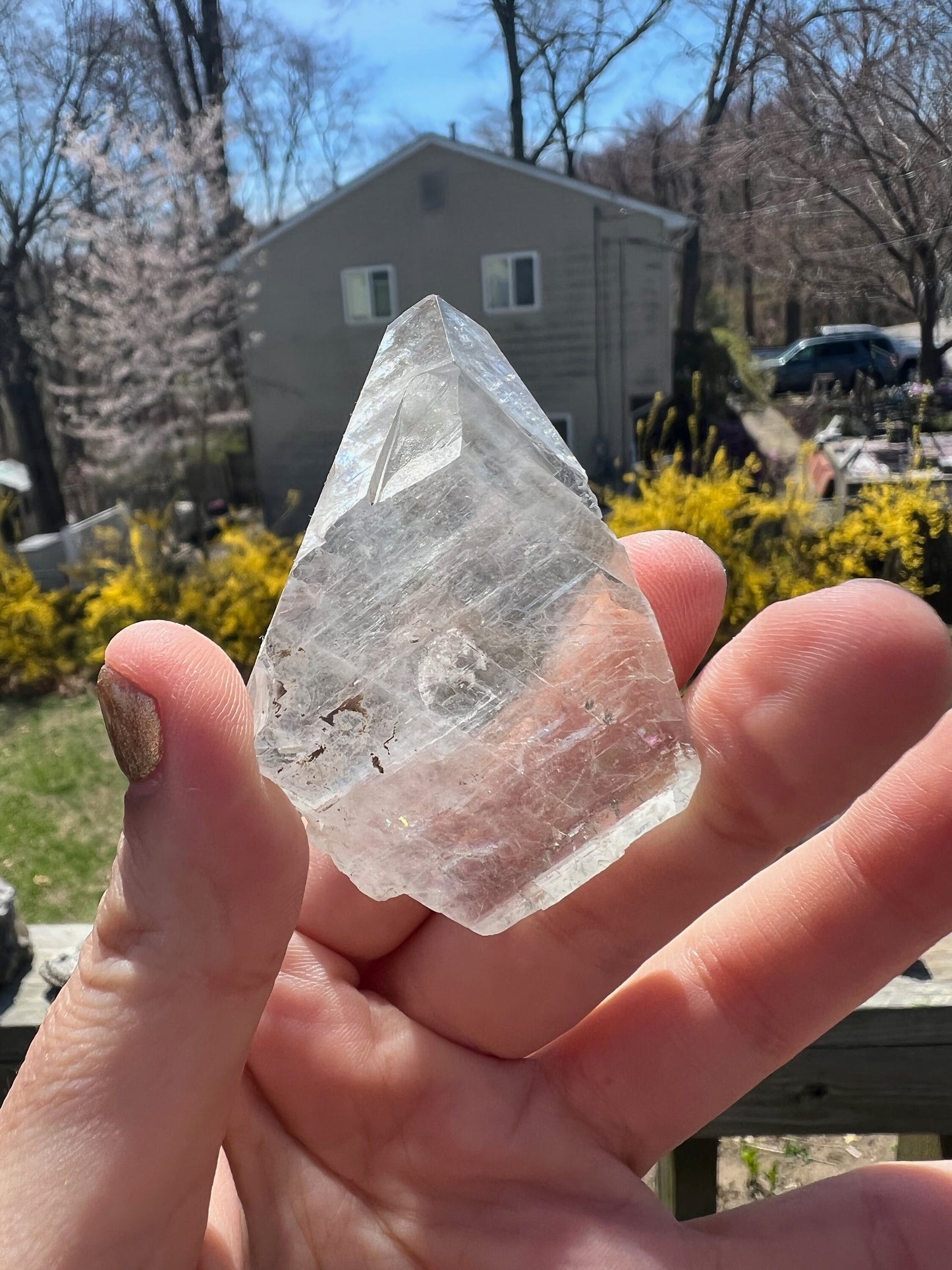 Dogtooth Calcite Crystal with Marcasite from Linwood Mine Iowa USA