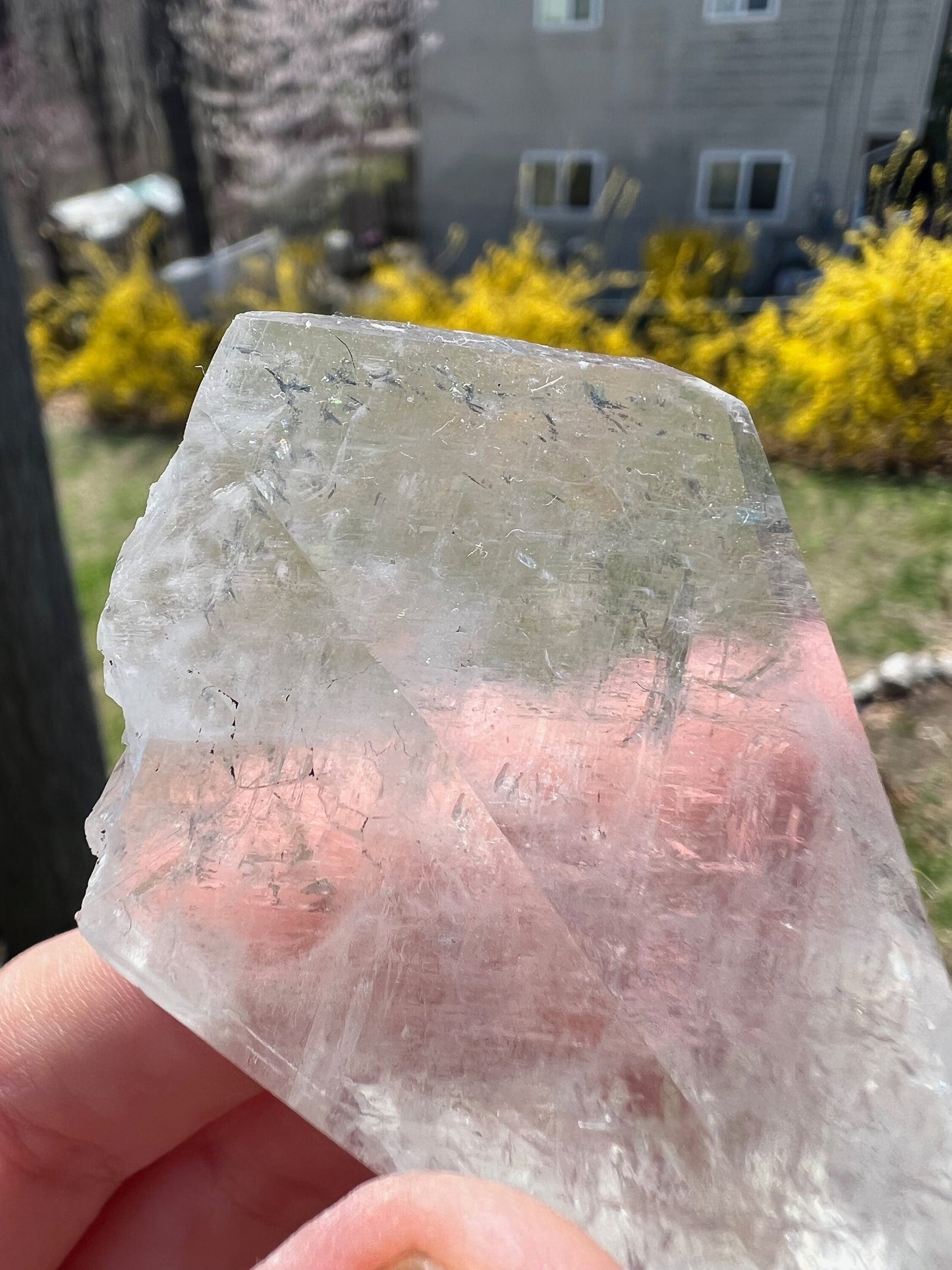 Dogtooth Calcite Crystal with Marcasite from Linwood Mine Iowa USA