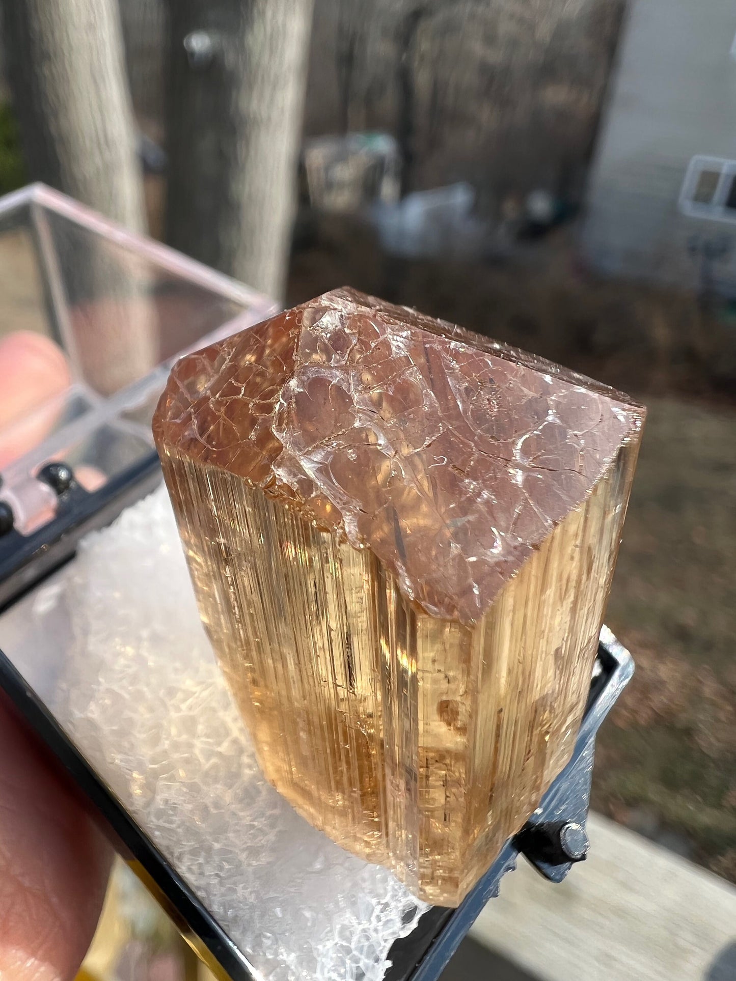 Gem Golden Scapolite Crystal from Tanzania