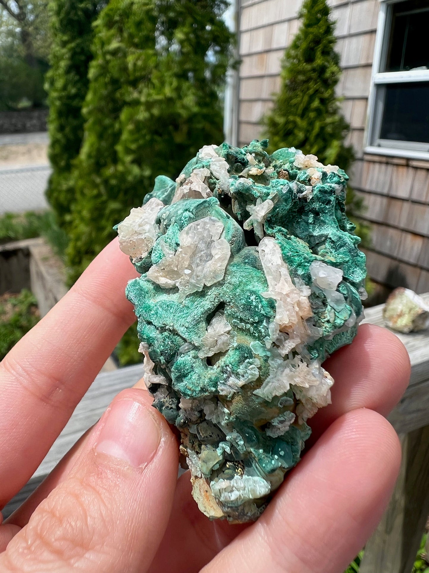 Reticulated Cerussite with Fibrous Malachite from Browns Pit Australia