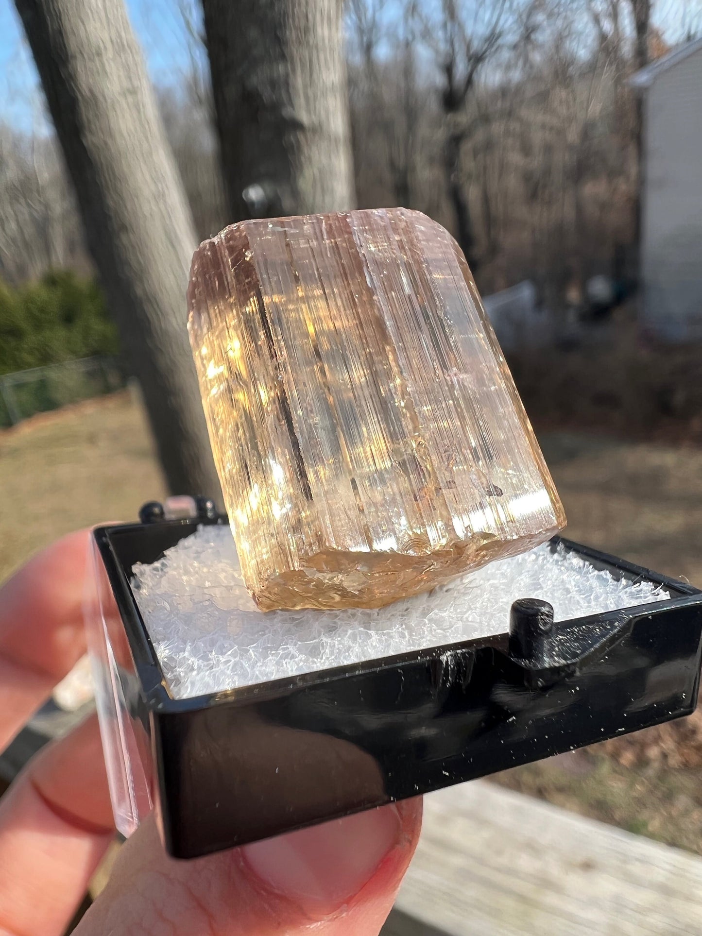 Gem Golden Scapolite Crystal from Tanzania