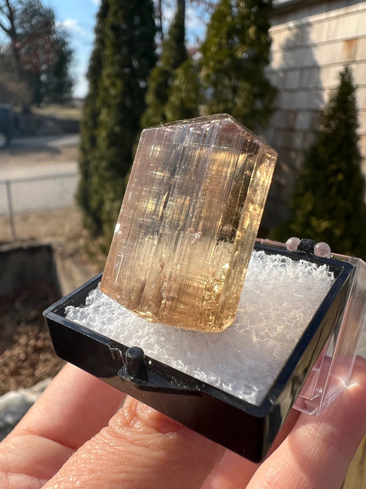 Gem Golden Scapolite Crystal from Tanzania