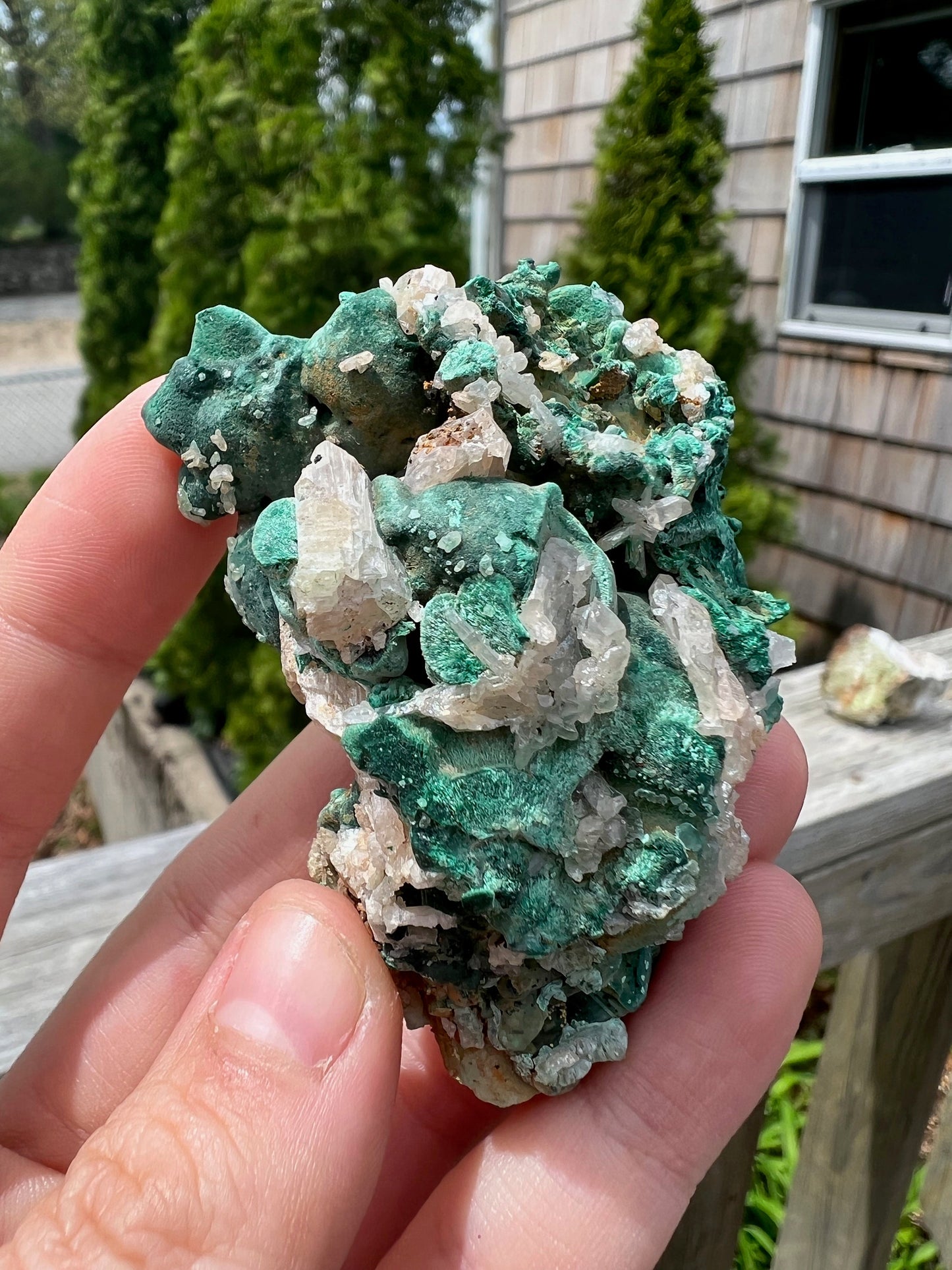 Reticulated Cerussite with Fibrous Malachite from Browns Pit Australia