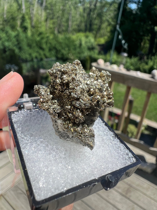 Rare Locality Pyrite from Pennsylvania USA