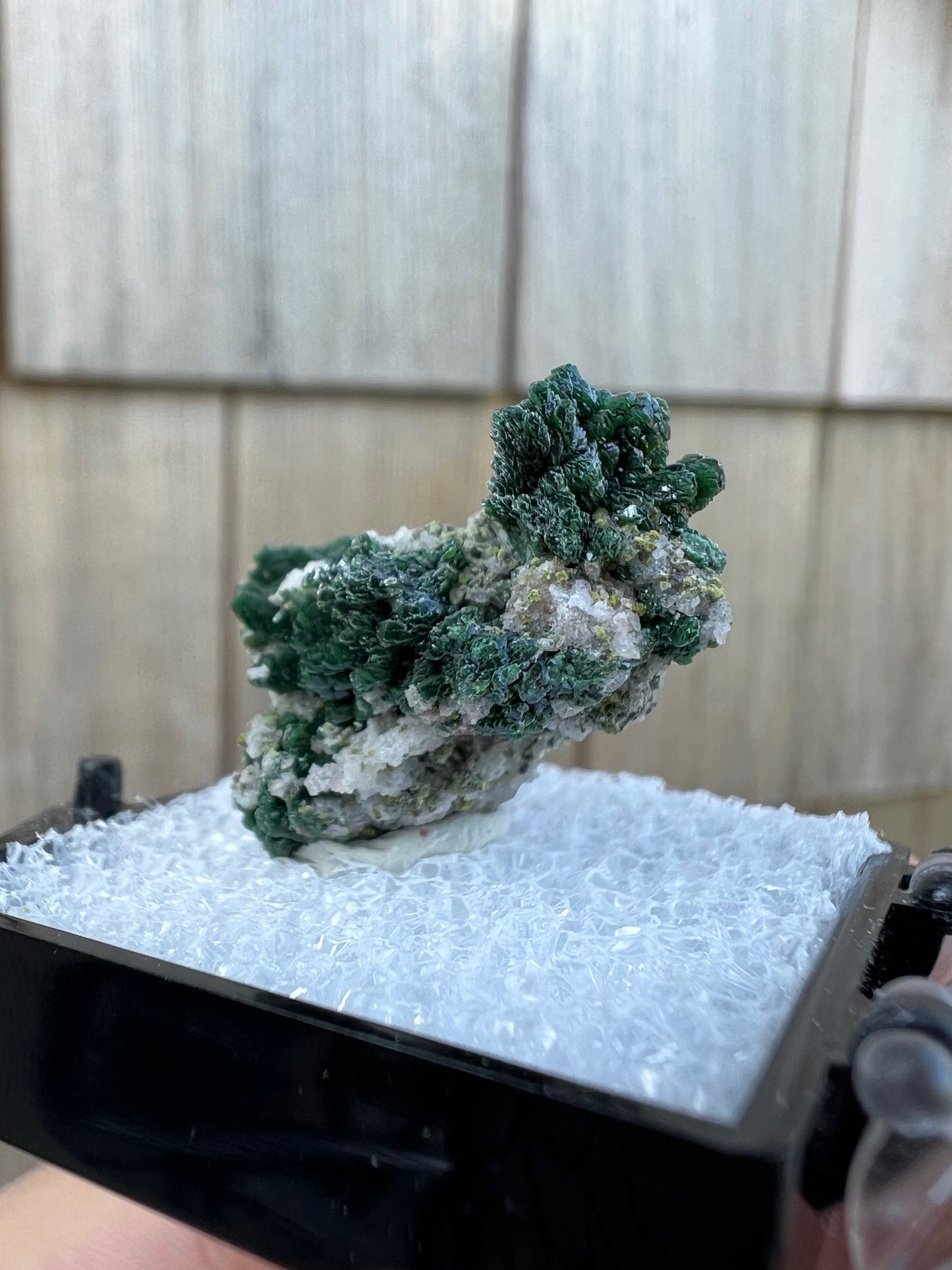 Mottramite Crystals from Tsumeb Namibia